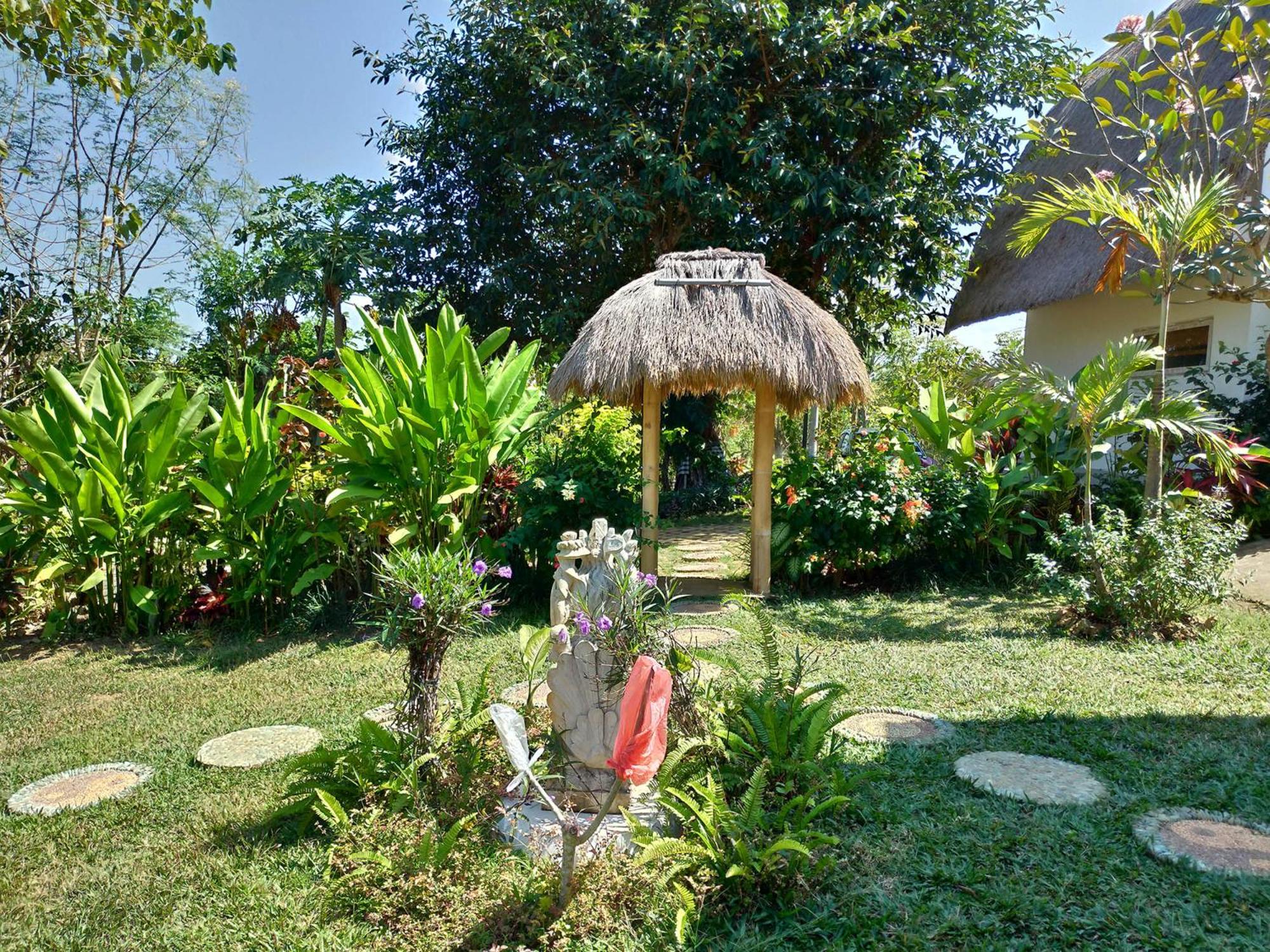 Photo 12