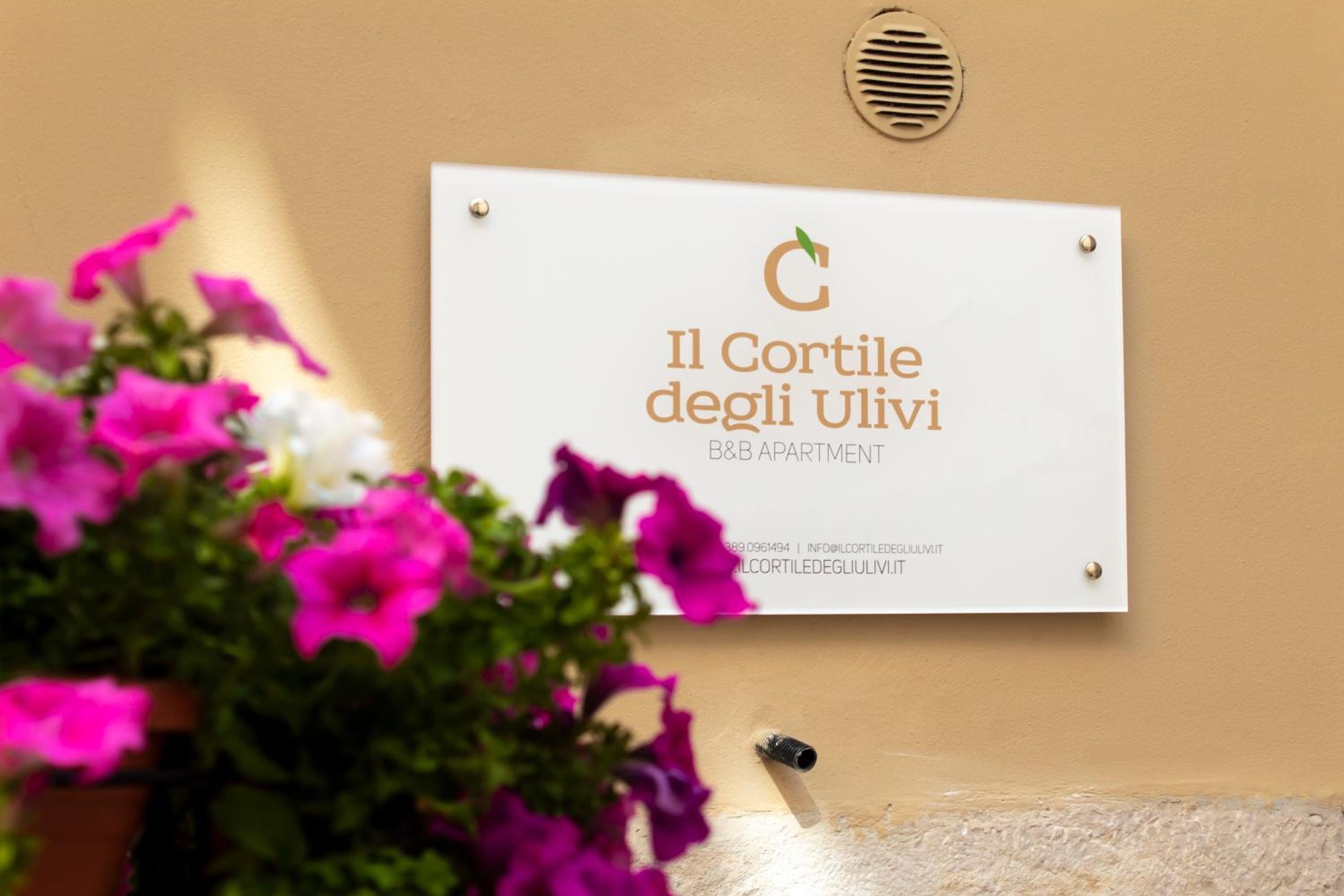 Il Cortile degli Ulivi view 2