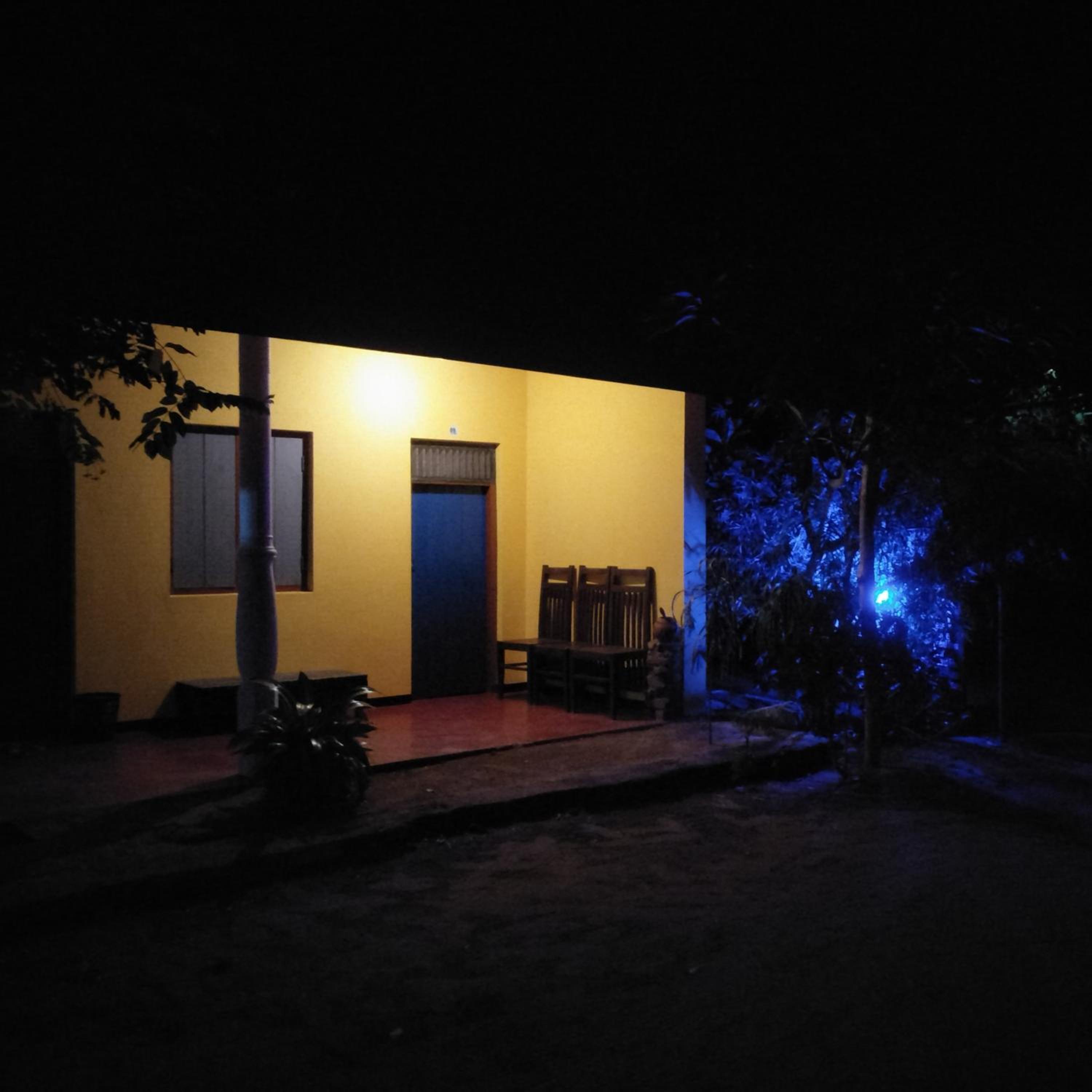 Photo 115