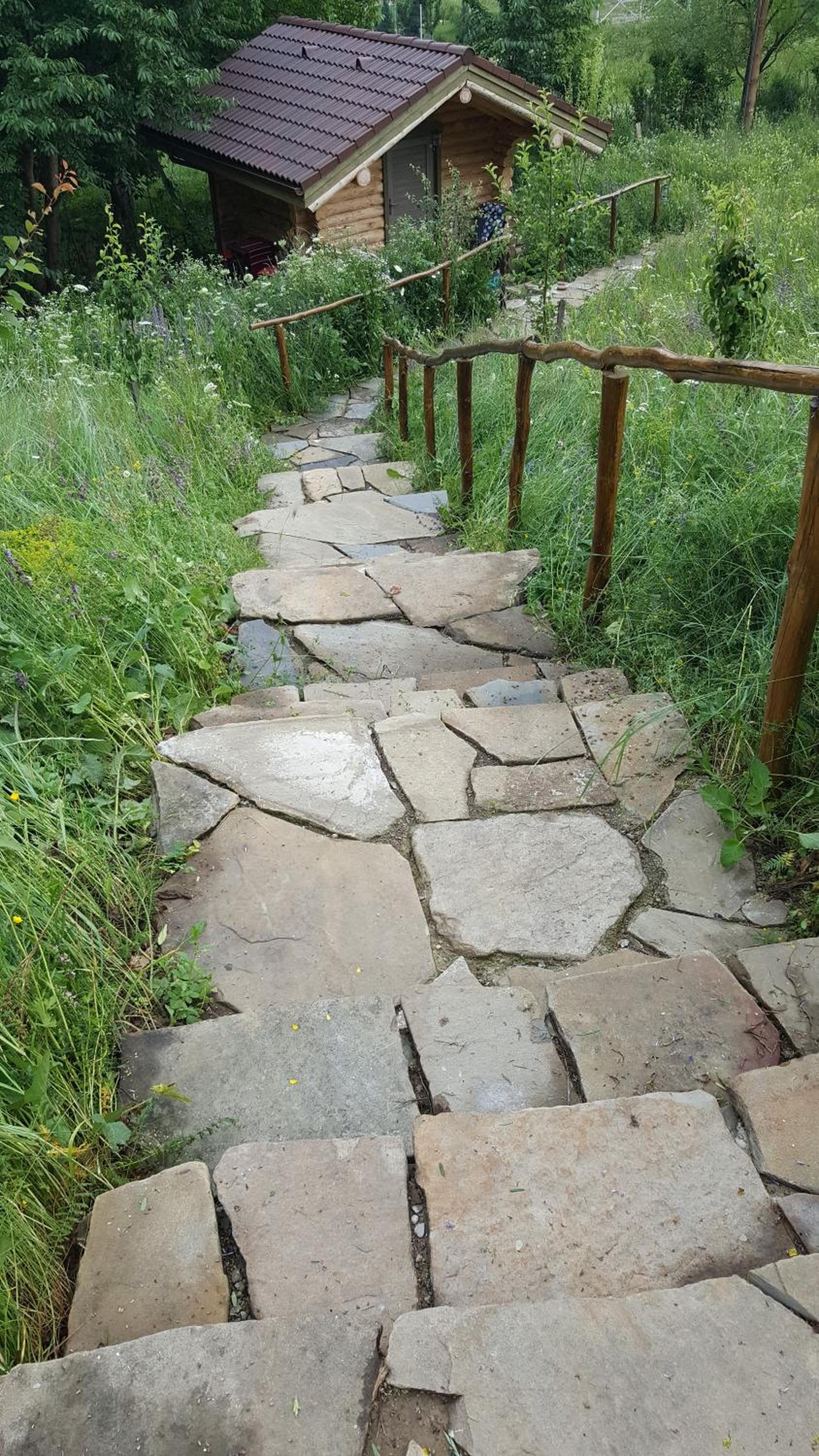 Photo 21