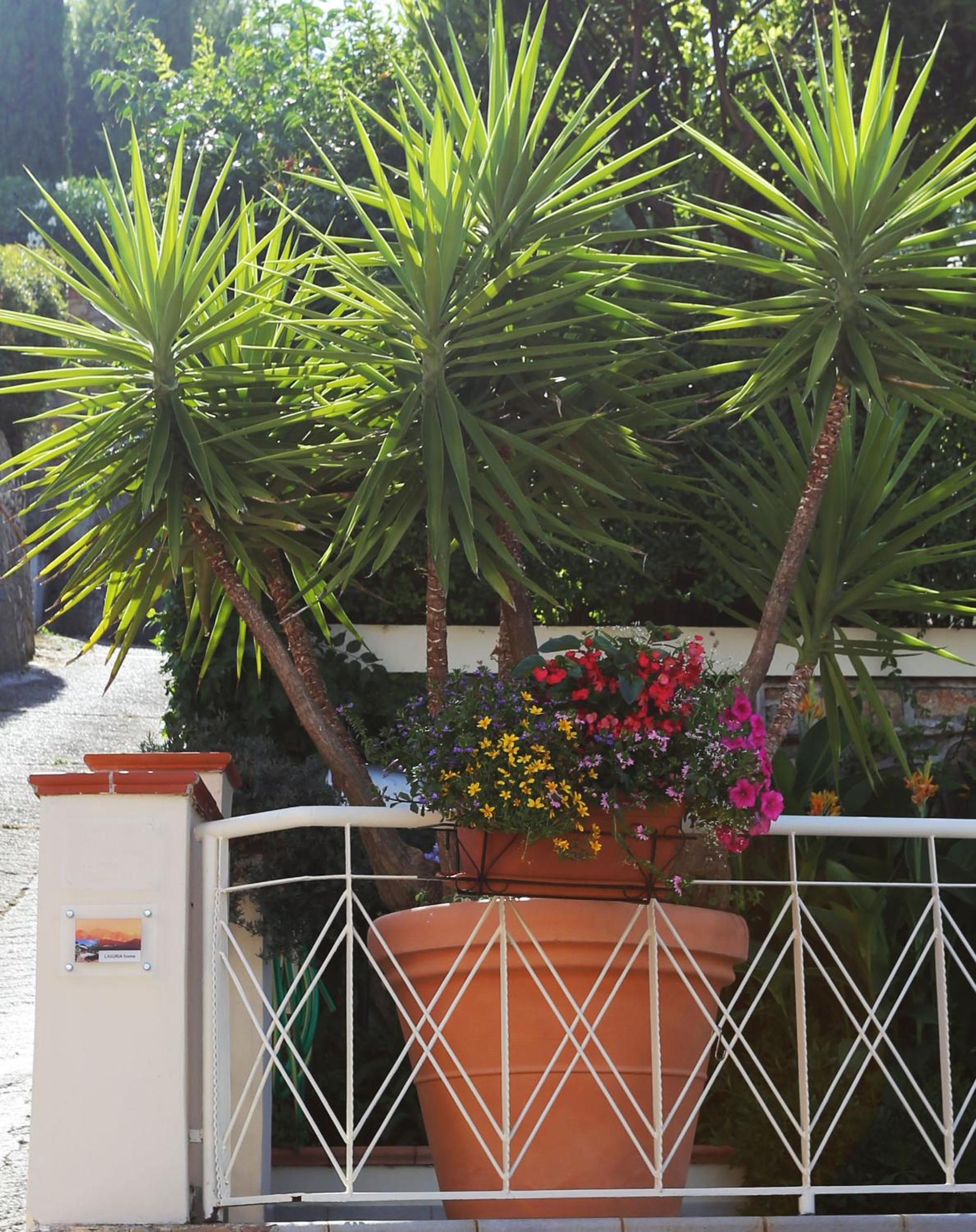 LIGURIA home view 2