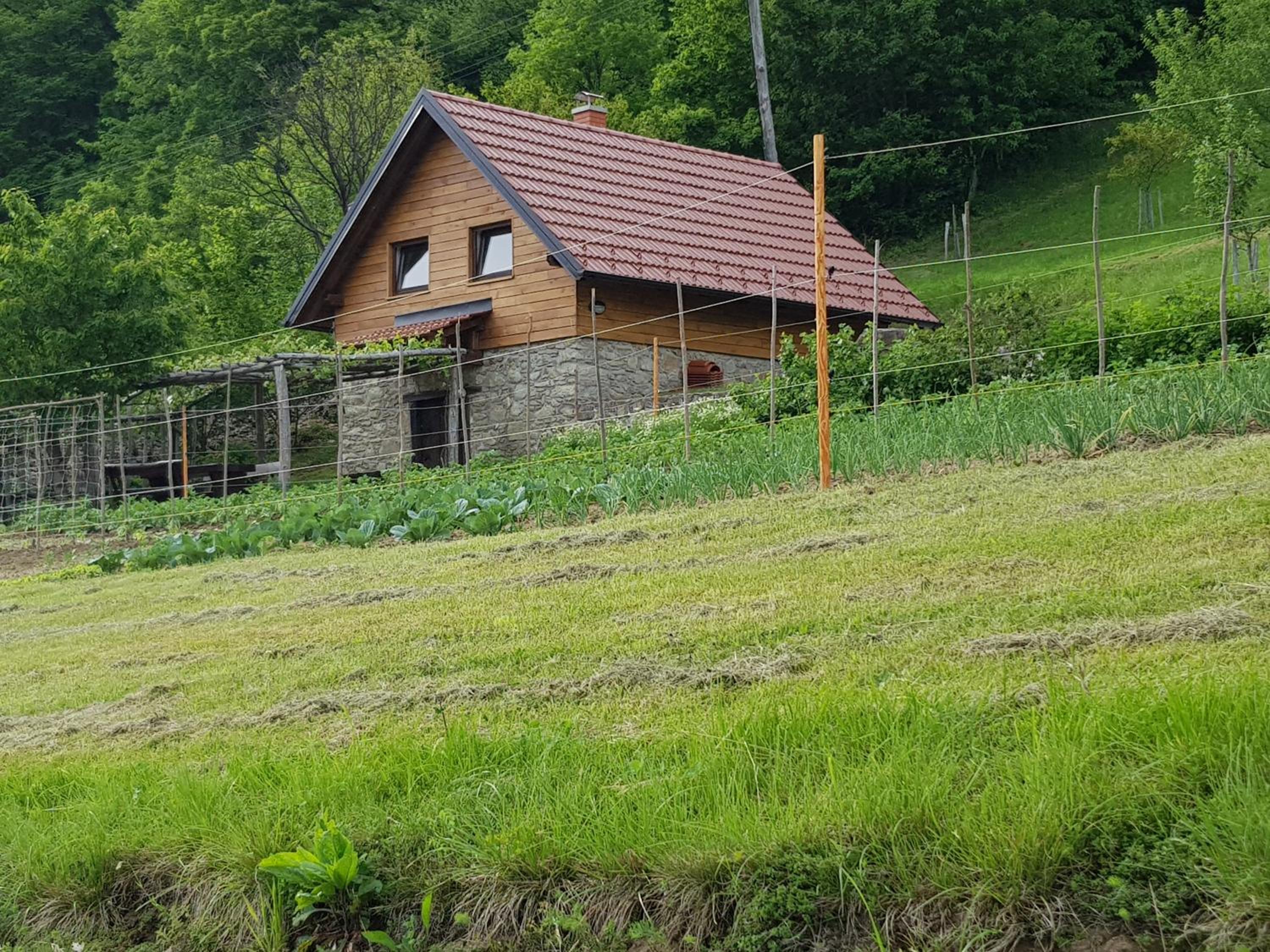 Relaxing Cottage Donacka Gora view 4