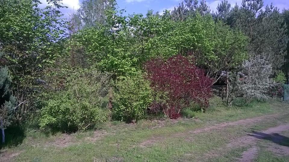 Photo 35