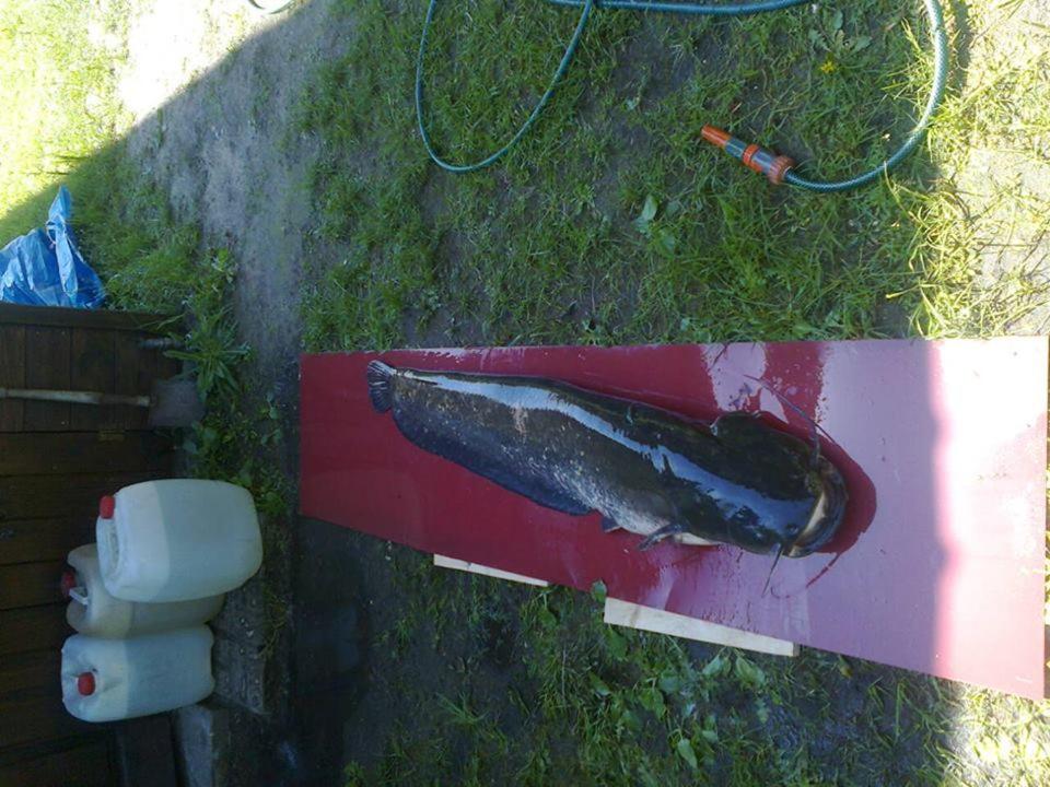 Photo 34