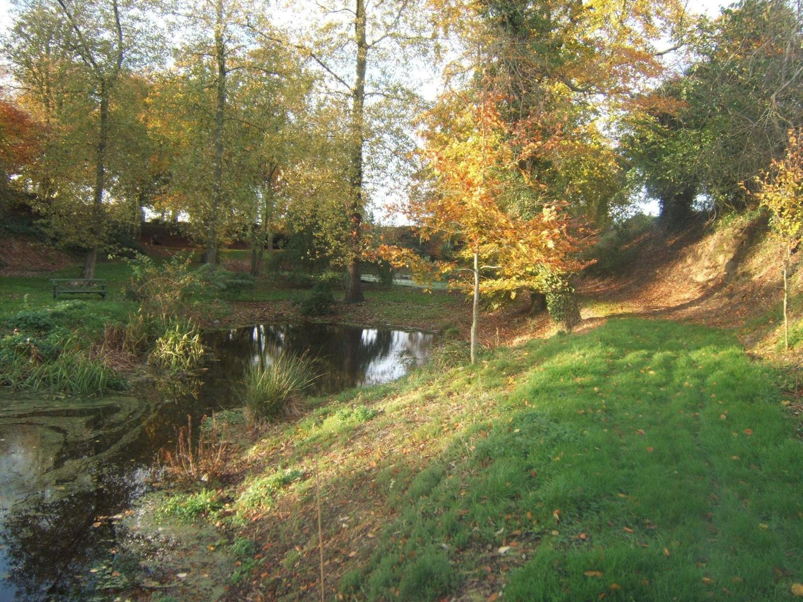 Photo 21