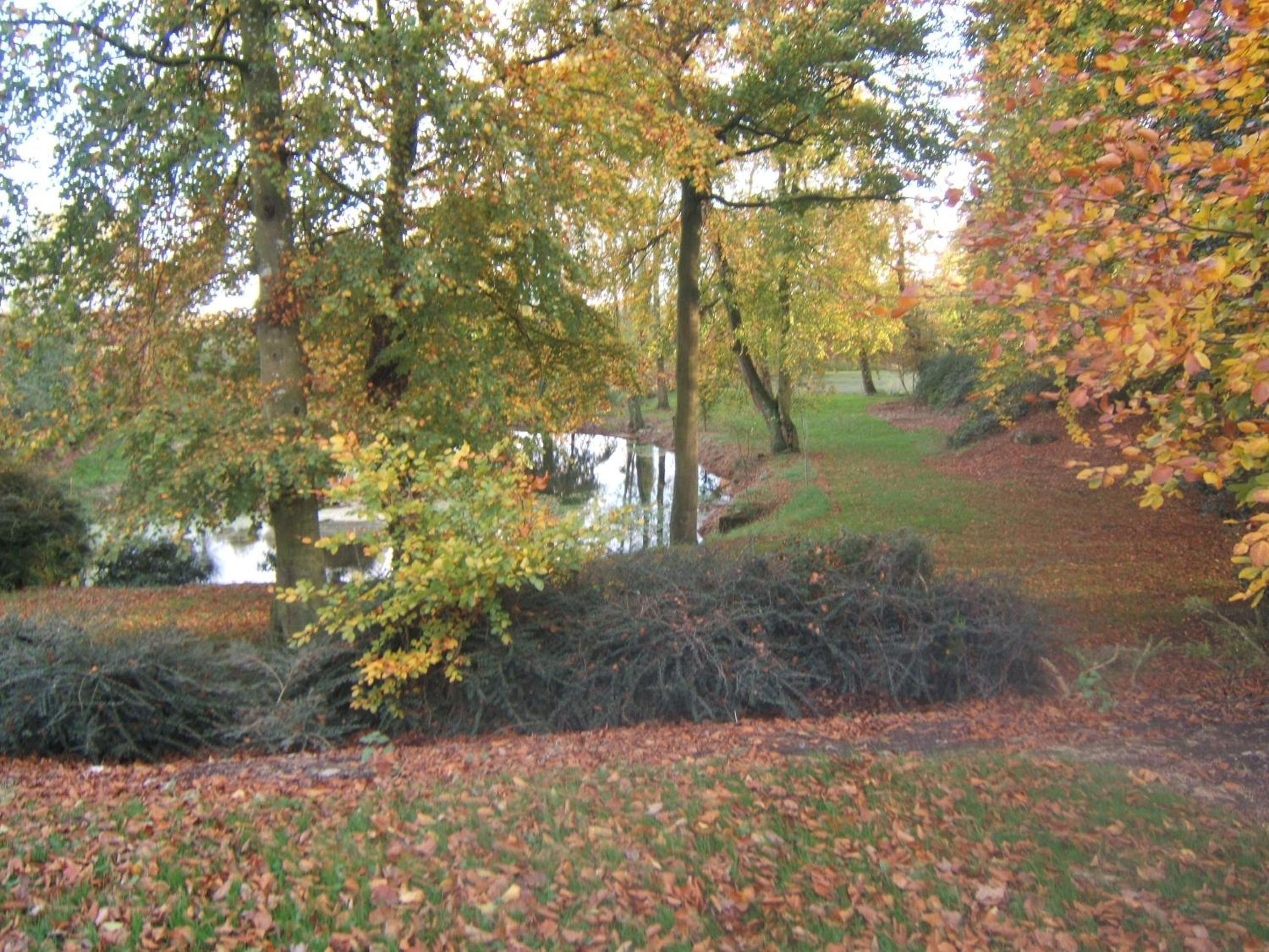 Photo 22
