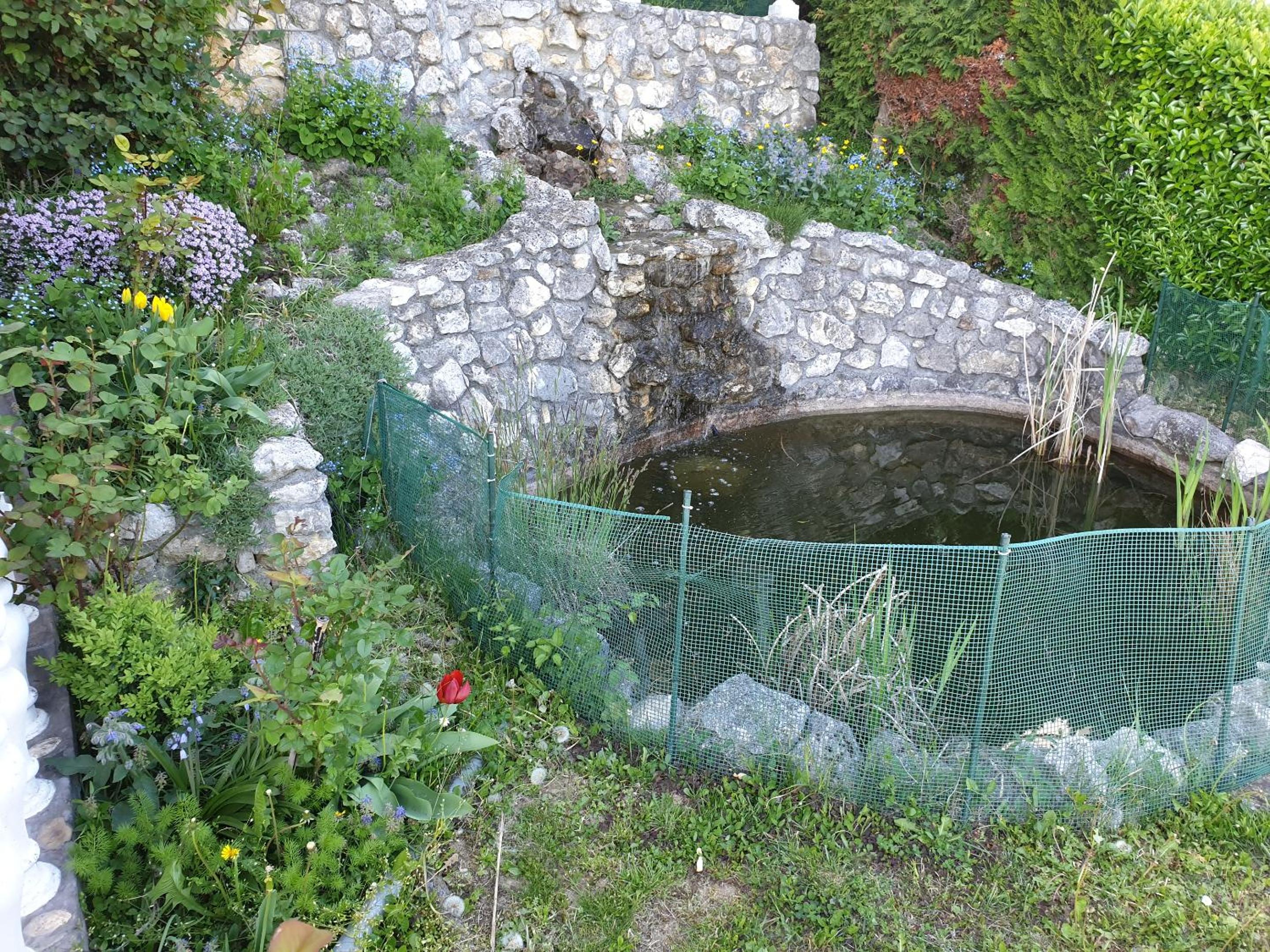Photo 11