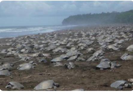 casa de playa Paraíso terrenal