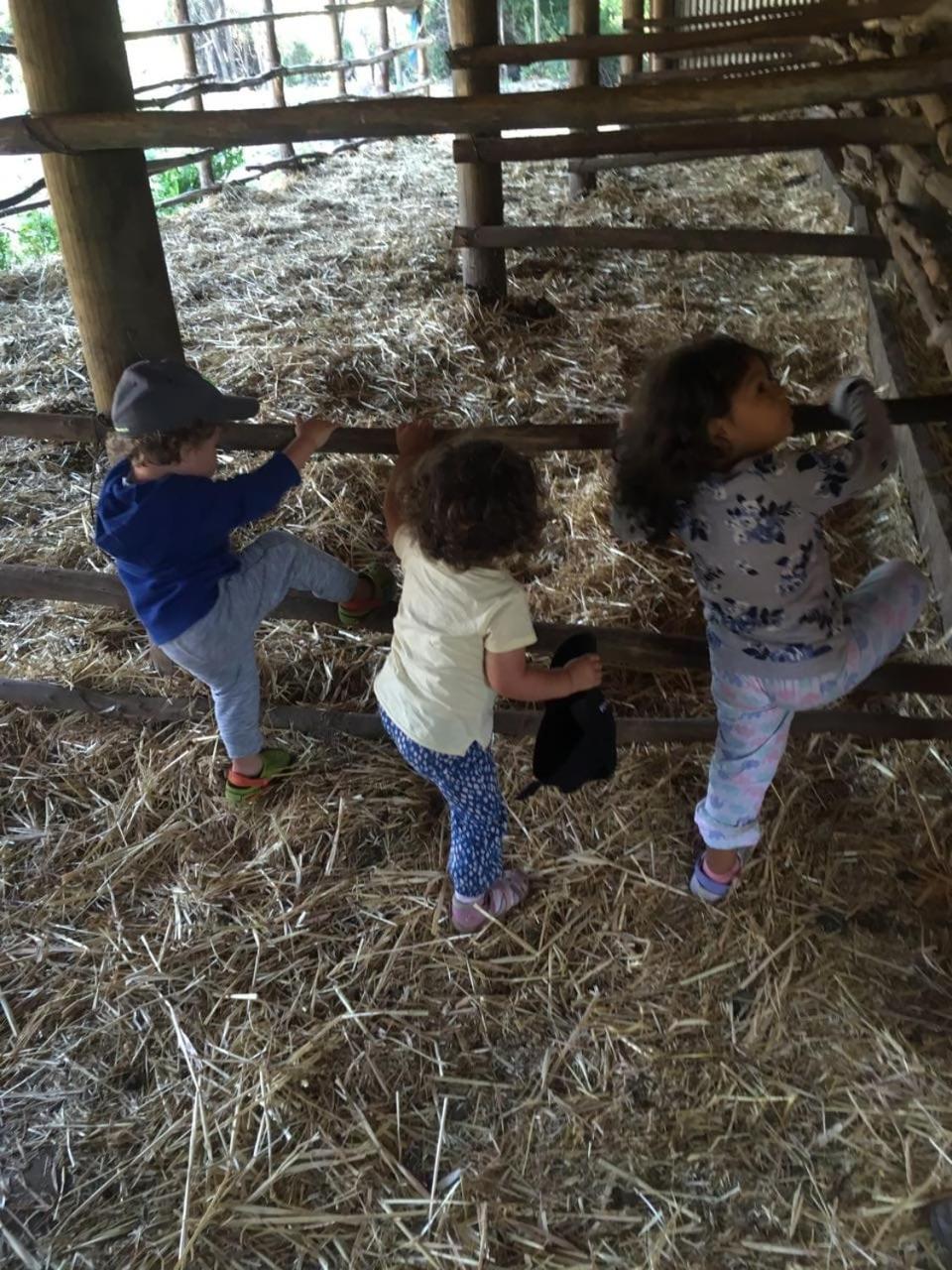 Turismo Rural Lo Vilches