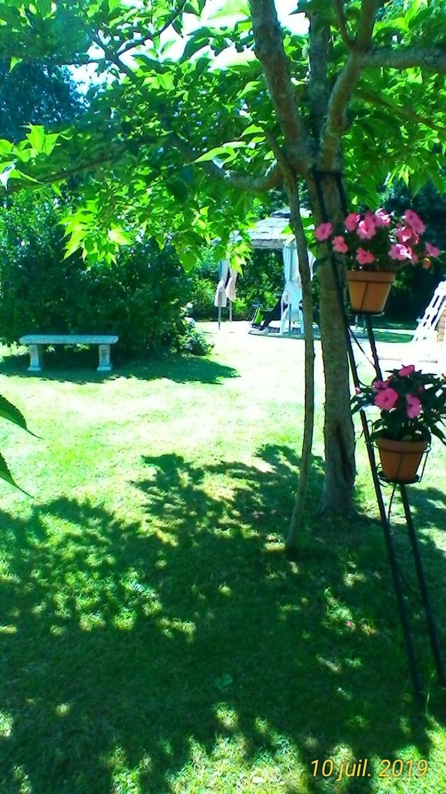 Photo 53