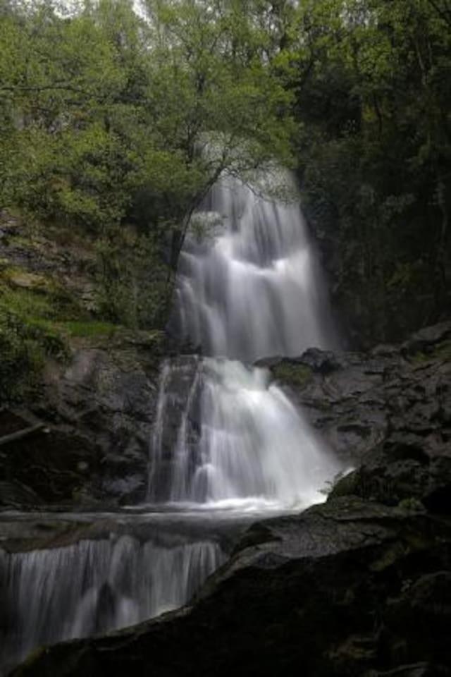 Photo 29