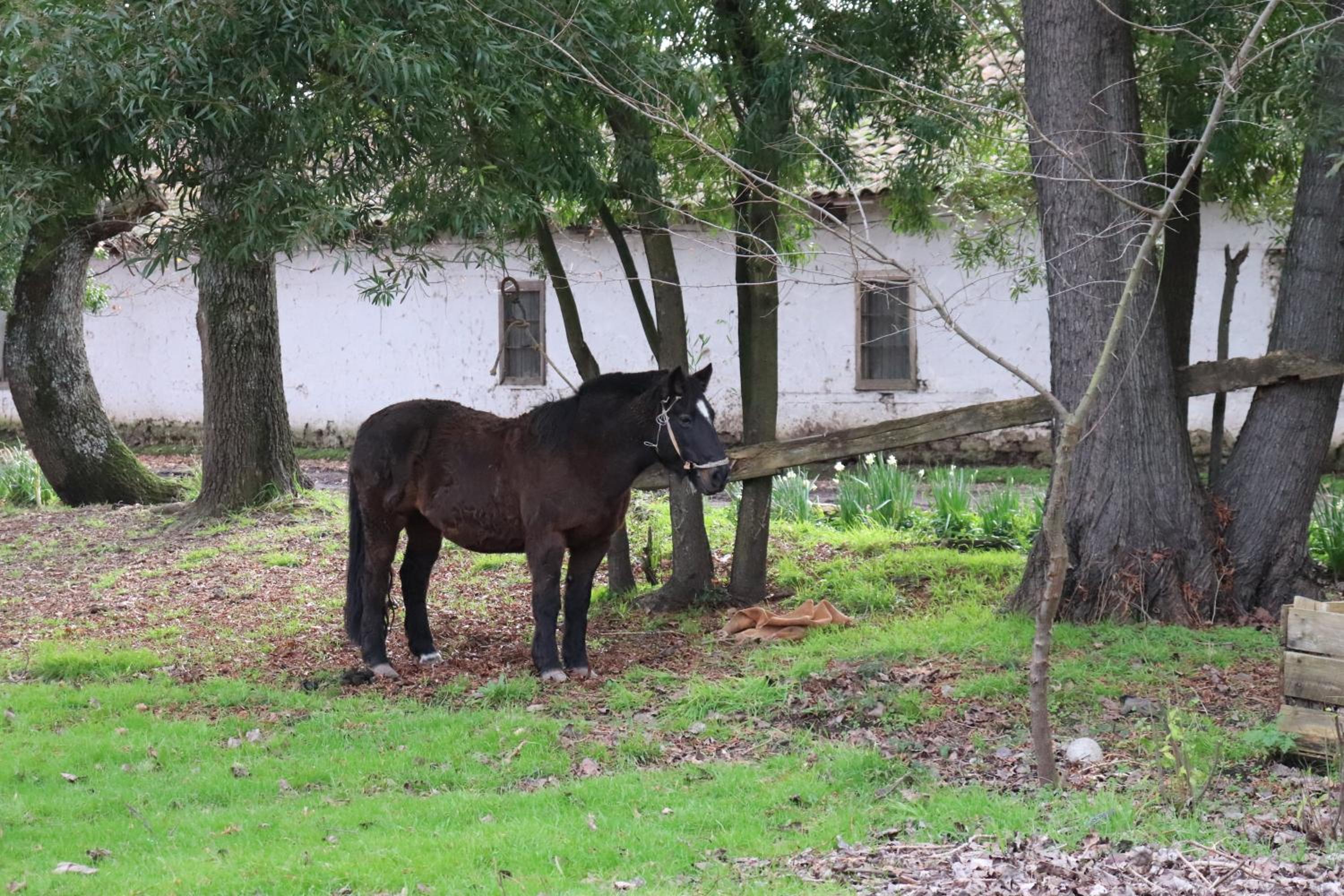 Turismo Rural Lo Vilches