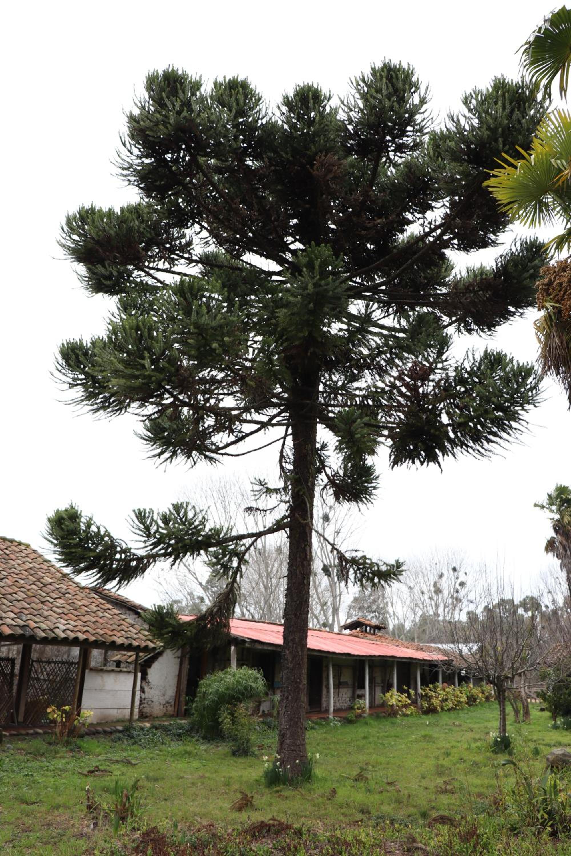 Turismo Rural Lo Vilches
