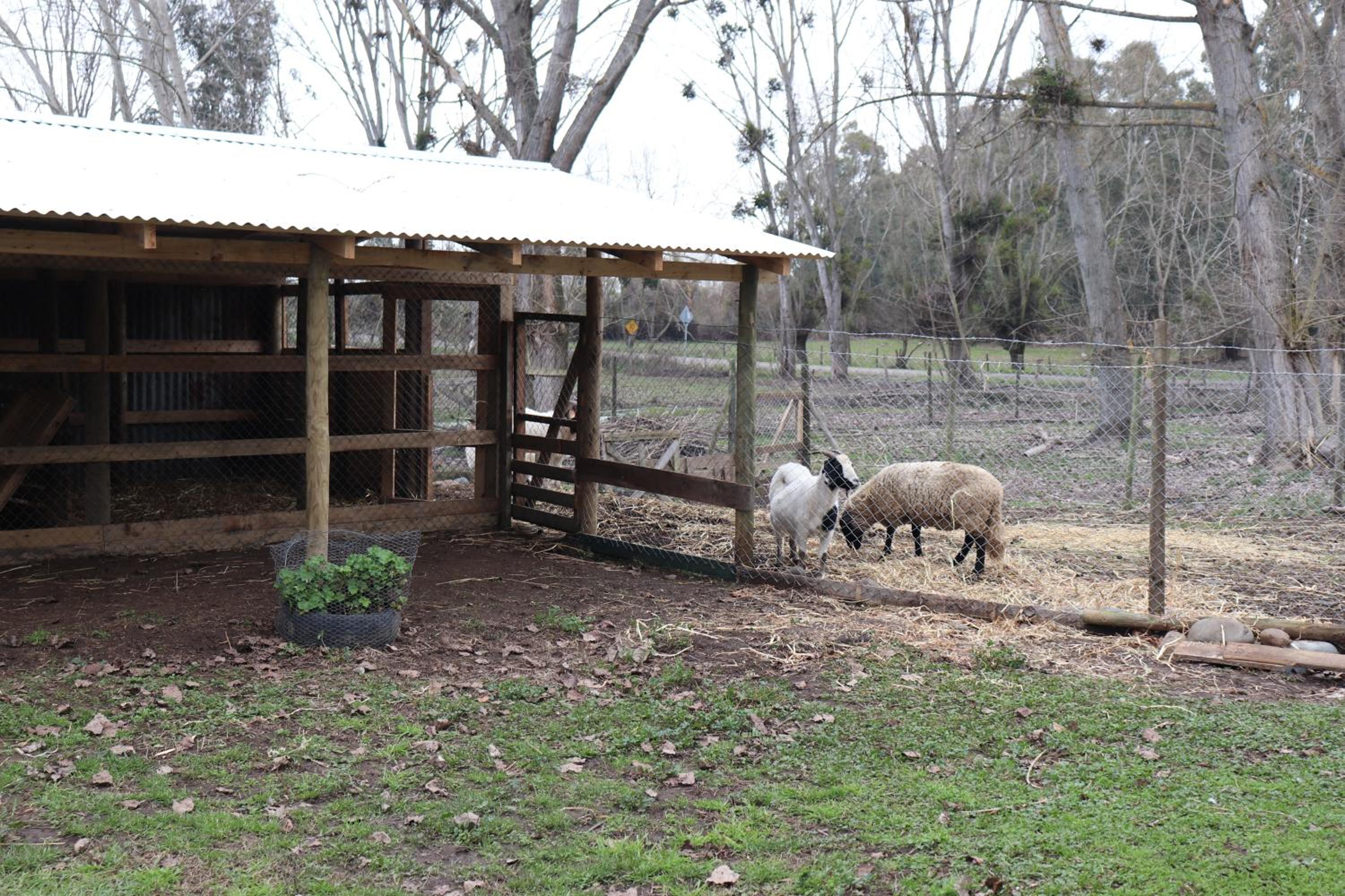 Turismo Rural Lo Vilches