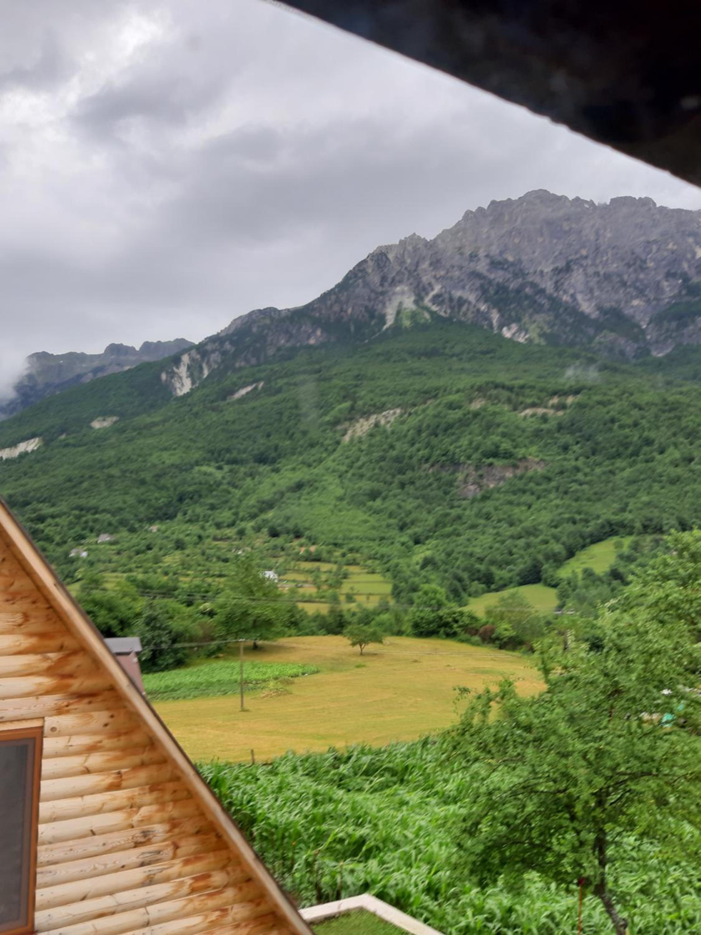 Bujtina Terthorja
