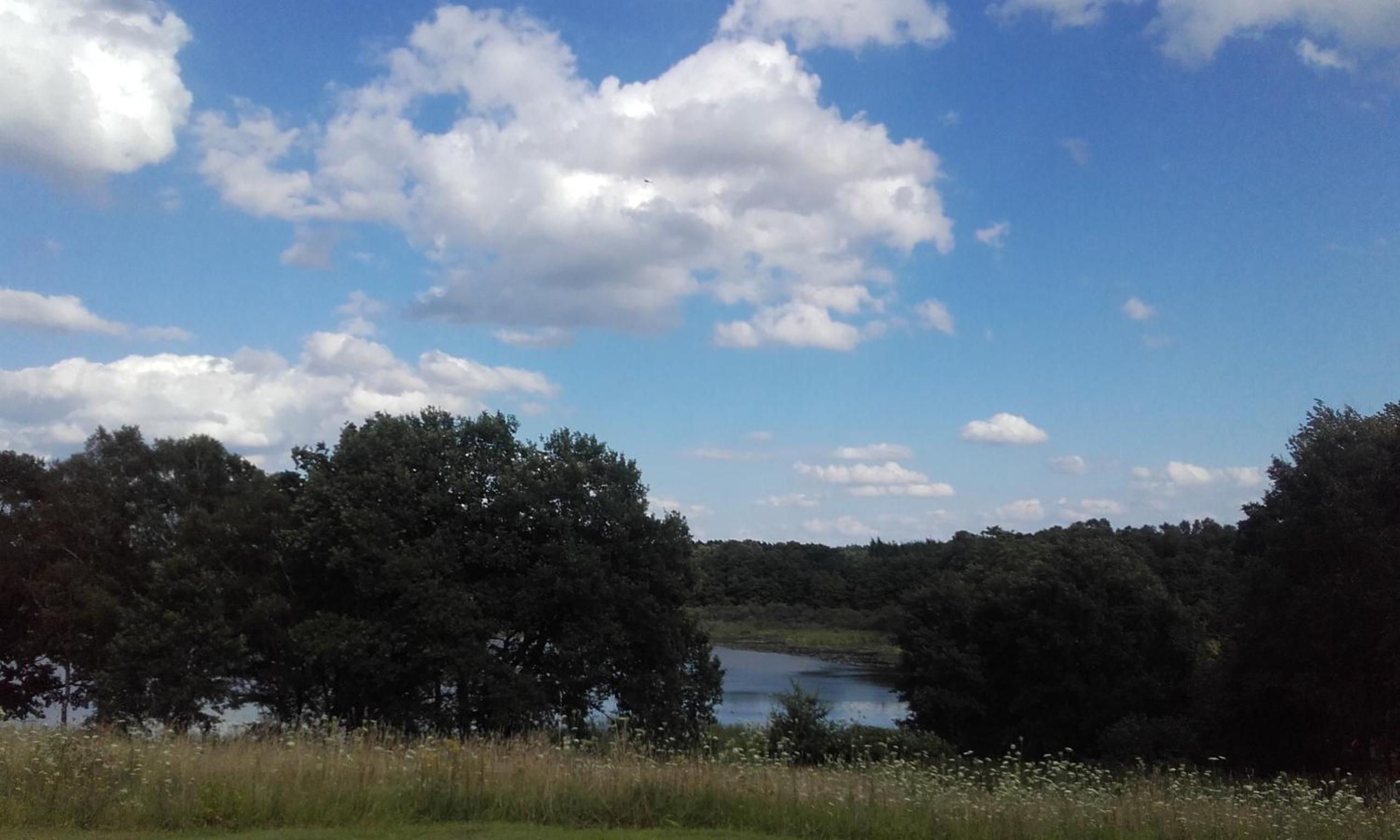 Photo 46