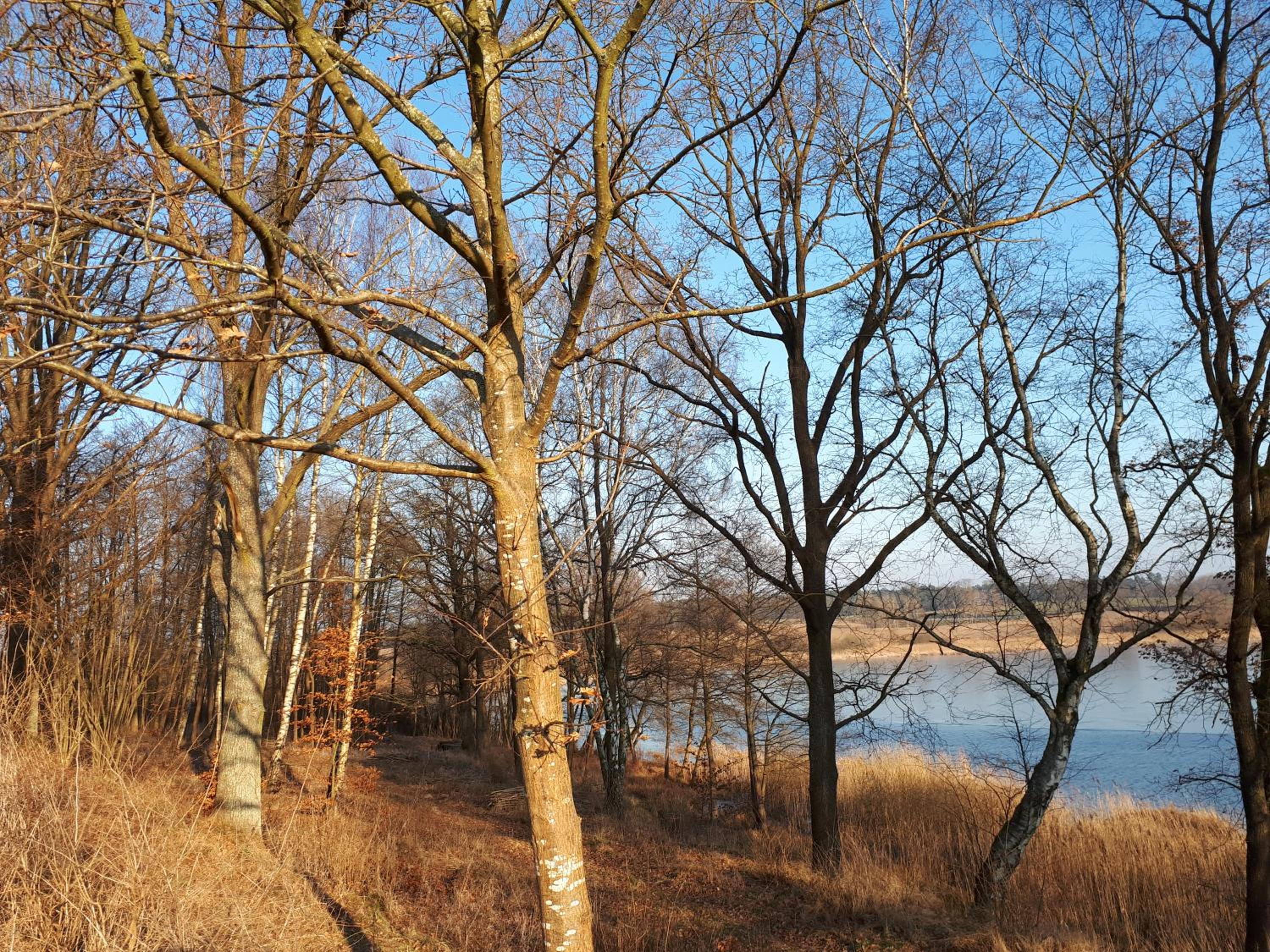 Photo 42