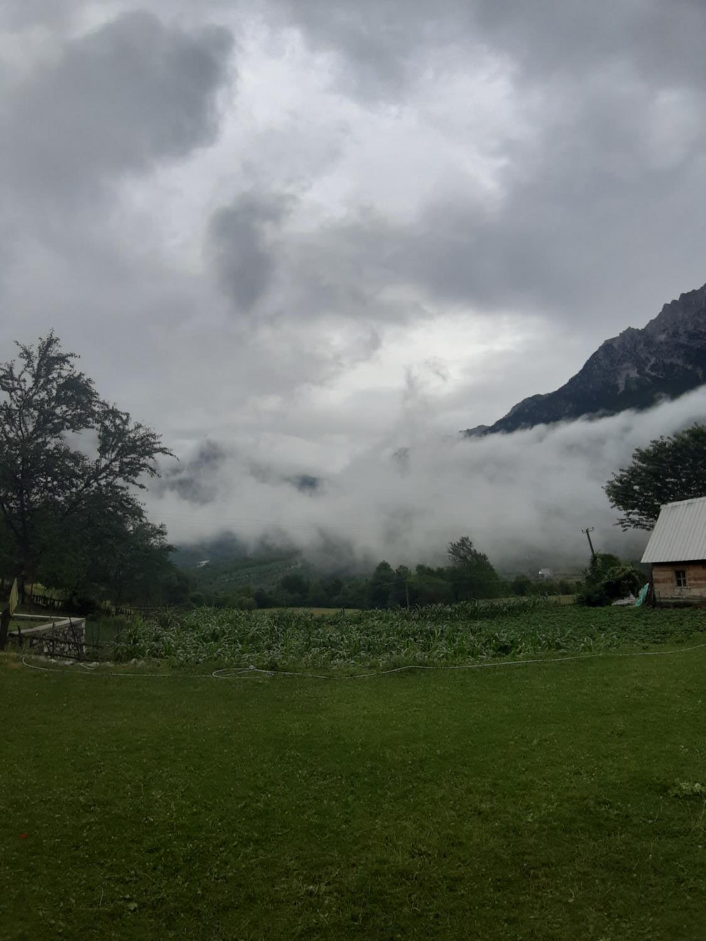 Bujtina Terthorja