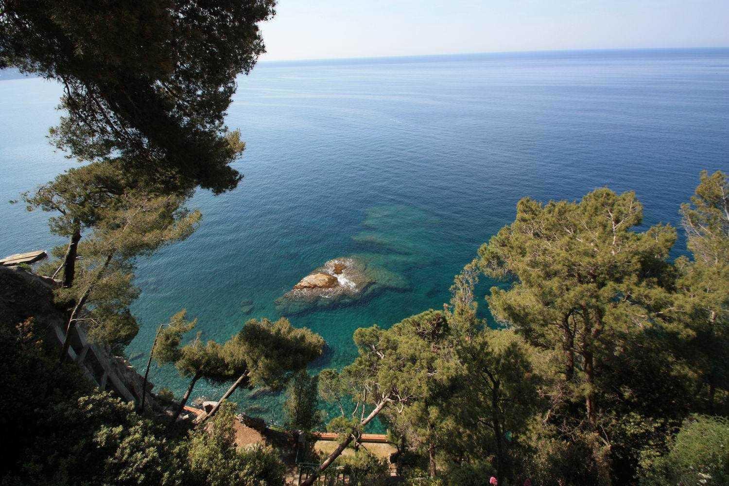 Camogli - "La Porta Rossa" - Liguria Holidays view 5