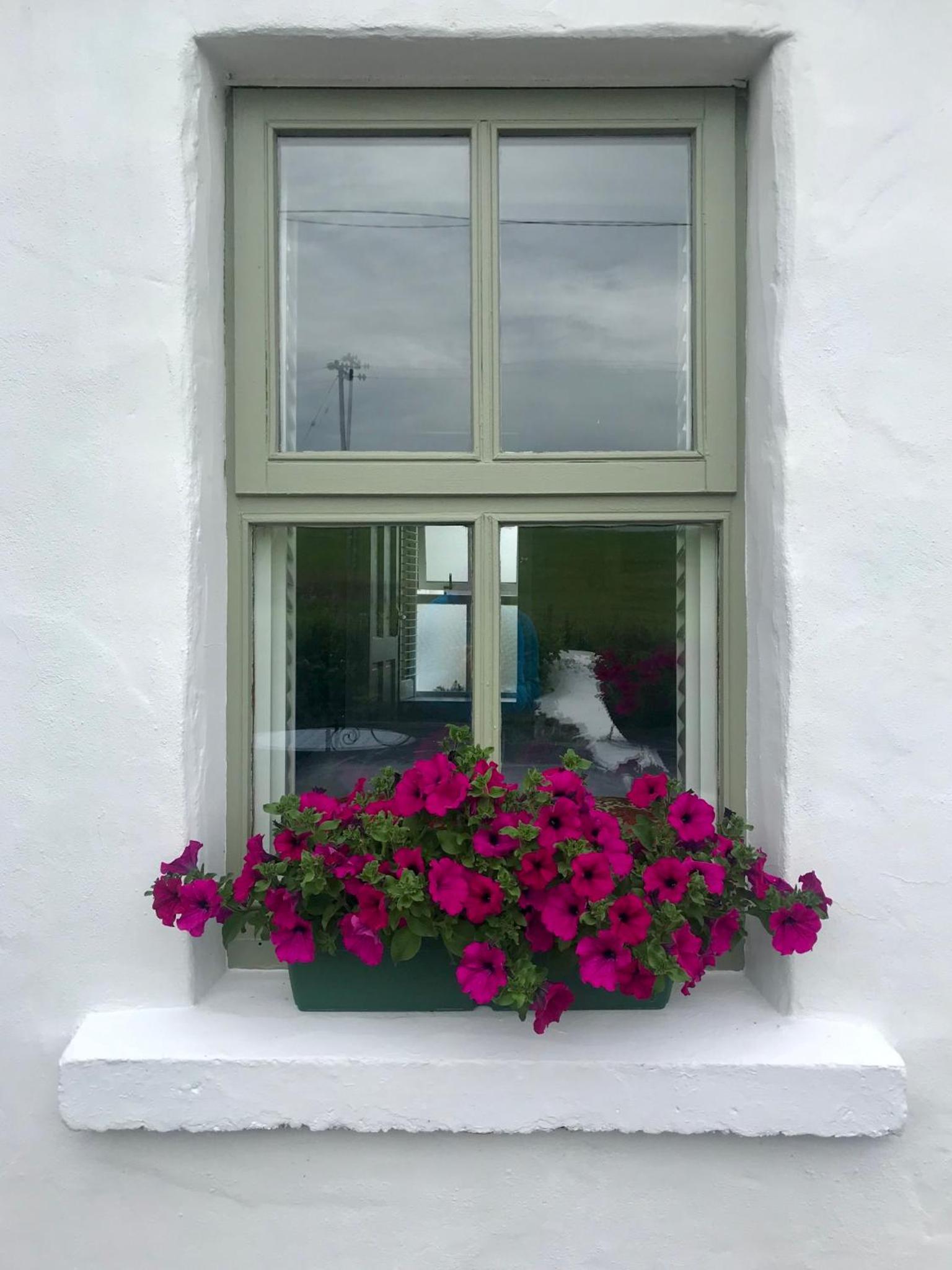 The Old Cottage view 2