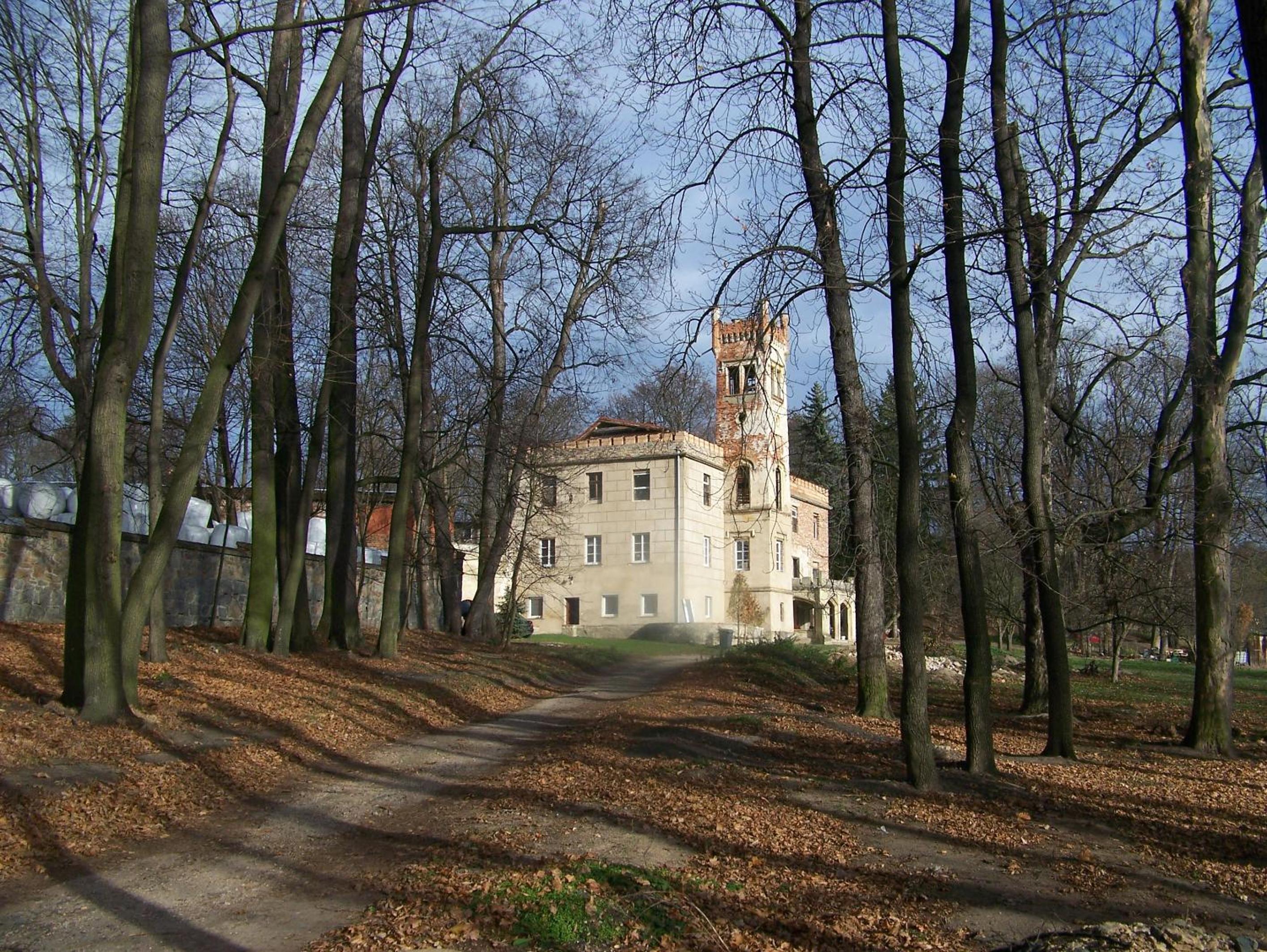 Photo 15