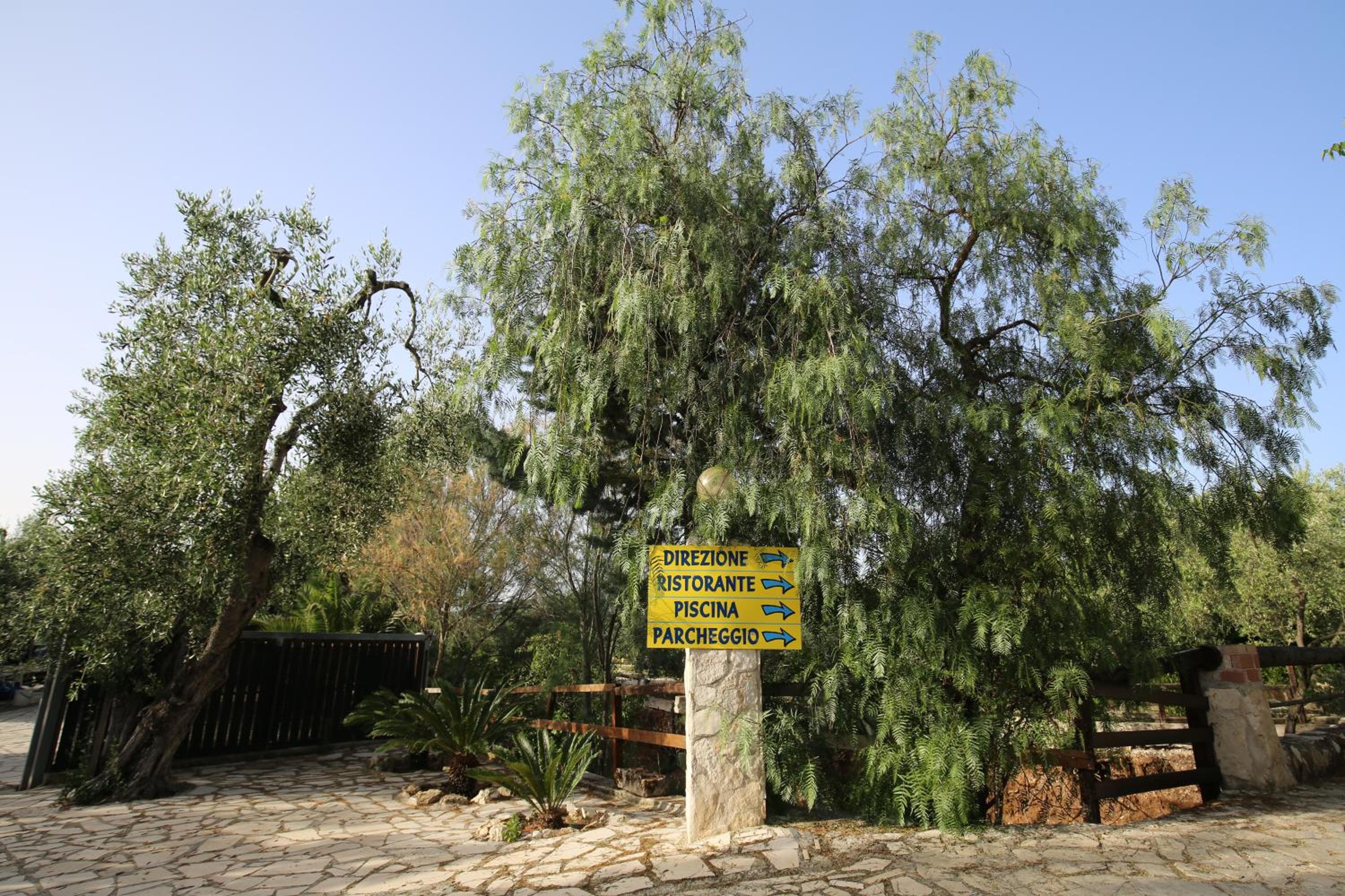Photo 27