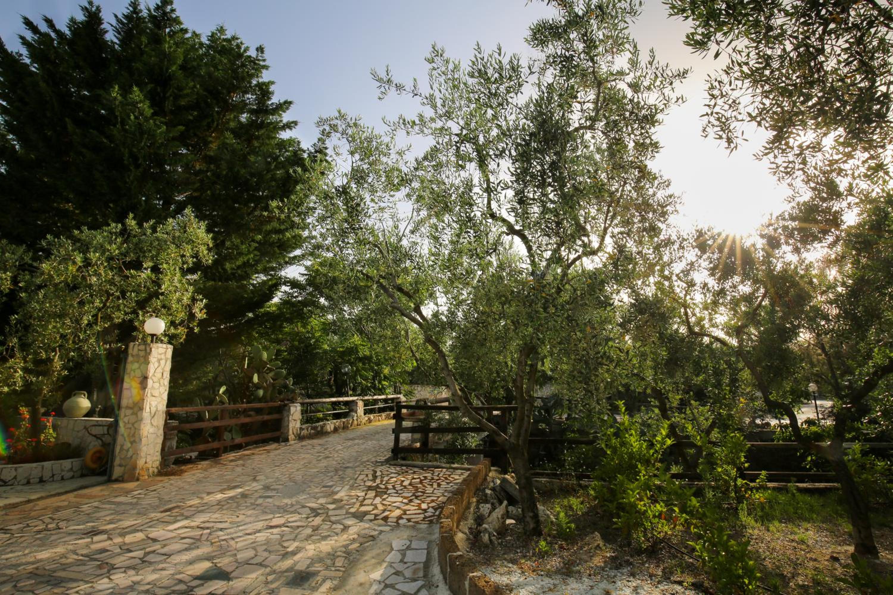 Agriturismo da Mauro photo 5