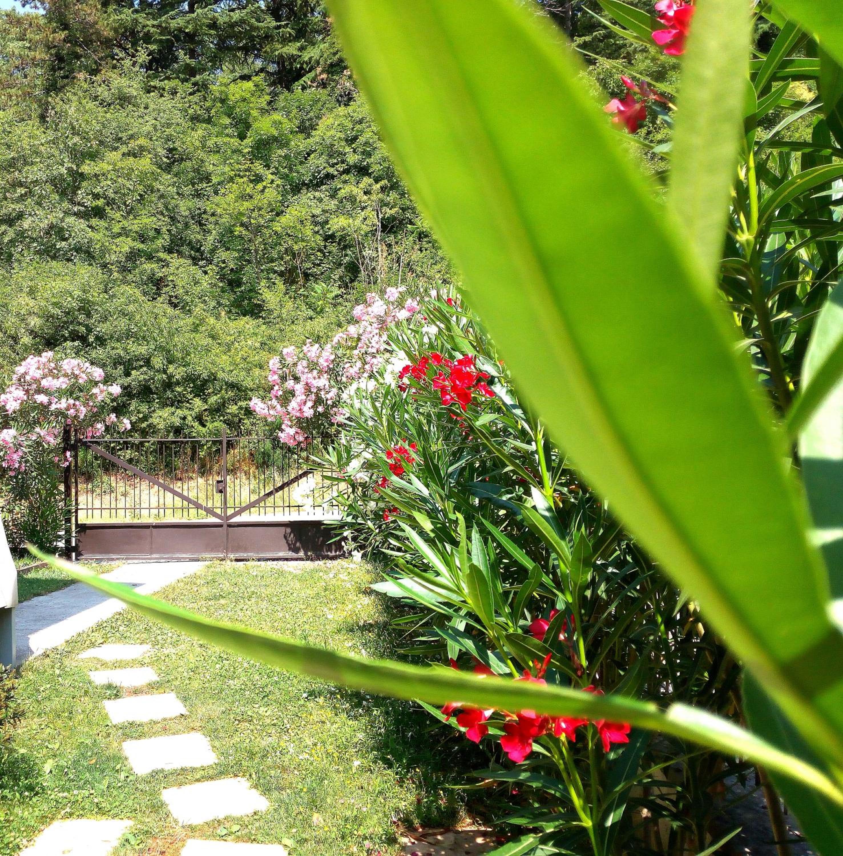 Photo 10