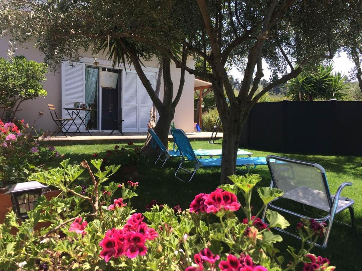 Villa Levanta photo 4