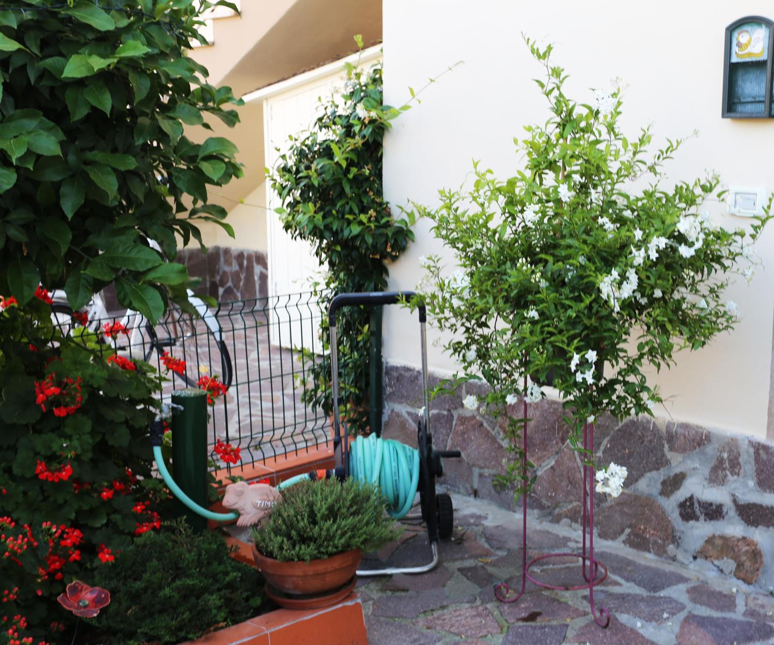 Photo 16