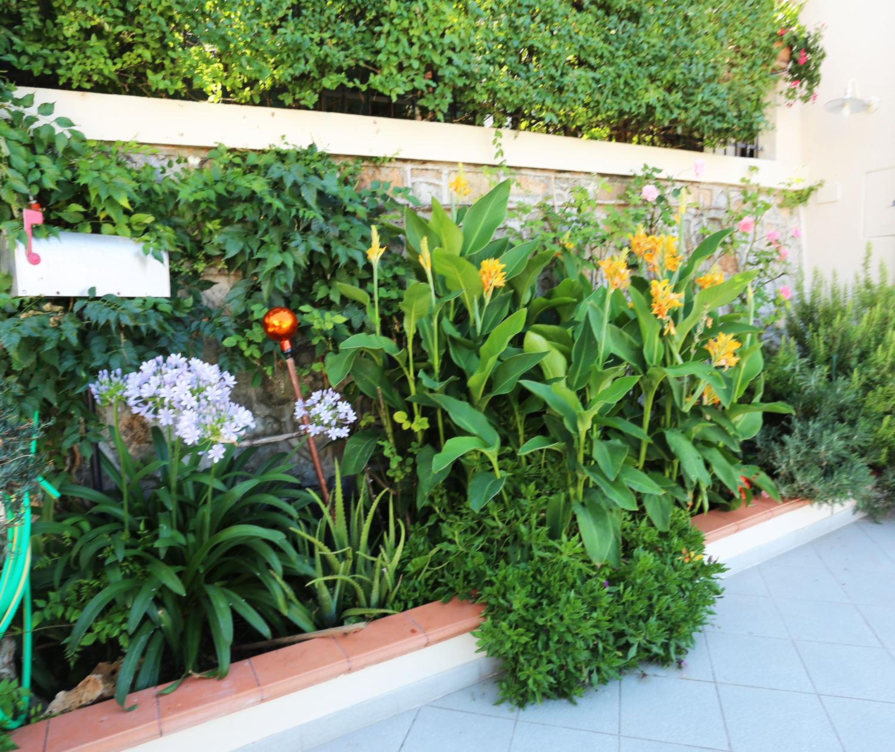 LIGURIA home view 3