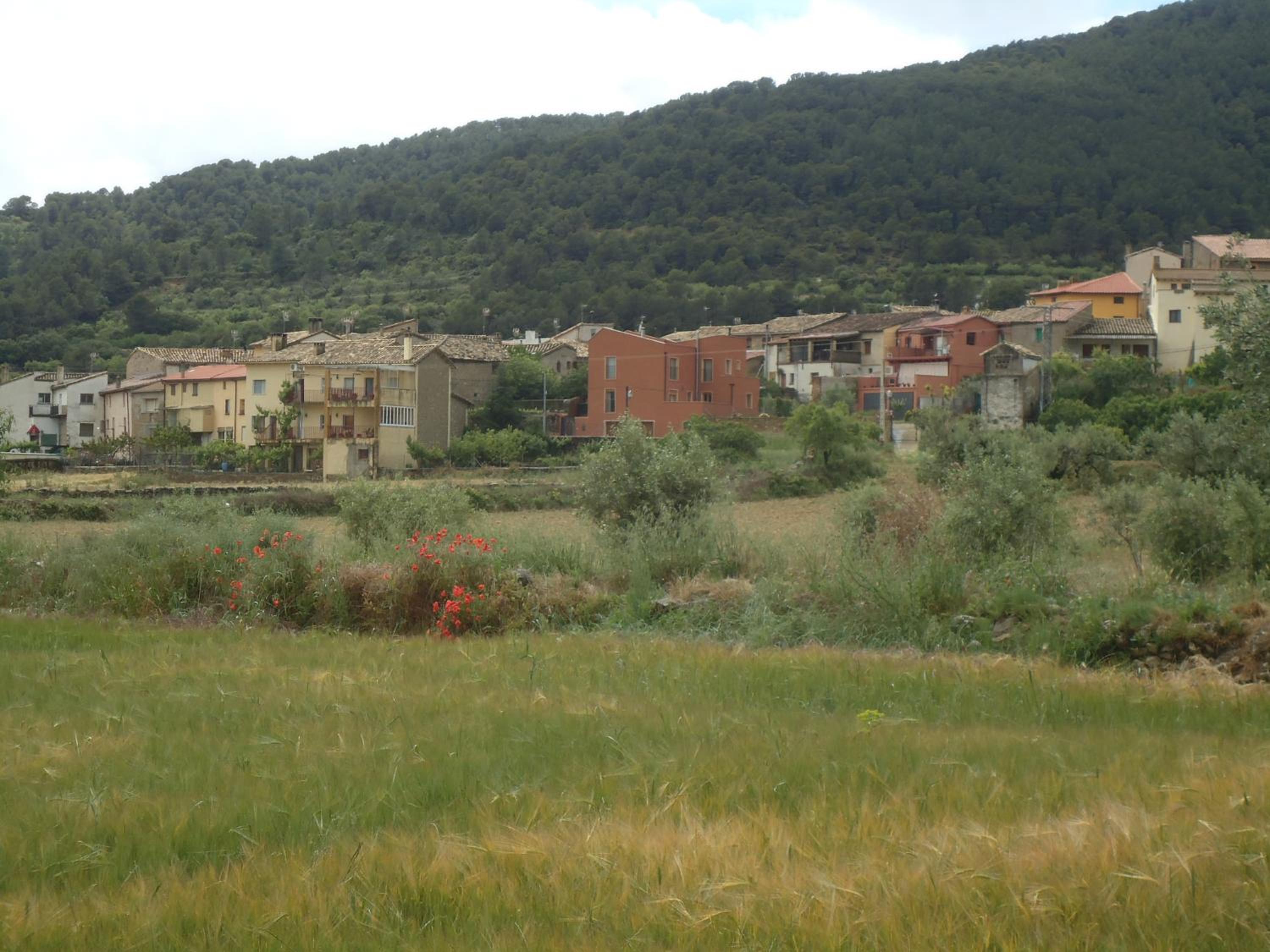 Casa Felisa Pirineo Aragonés