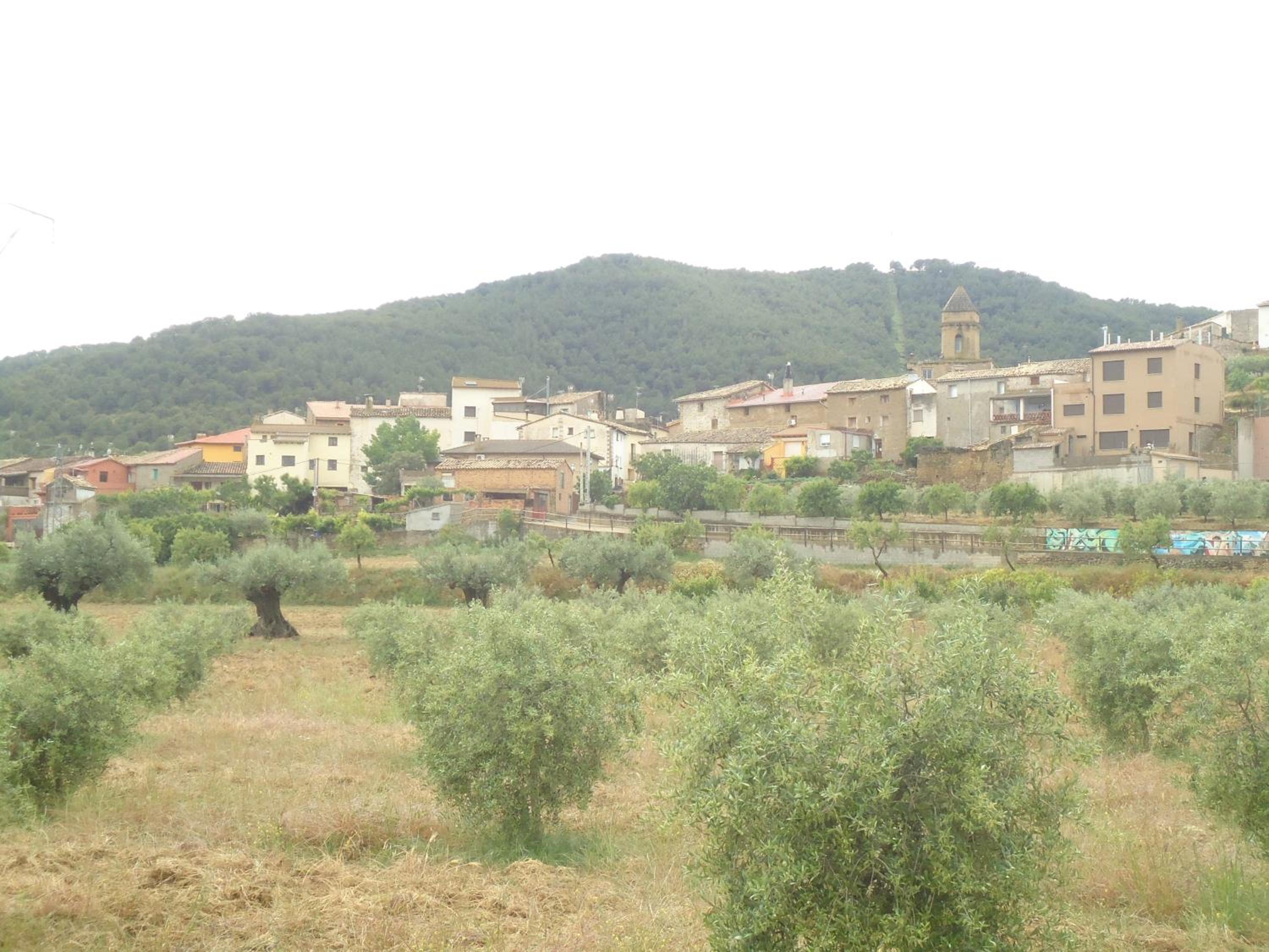 Casa Felisa Pirineo Aragonés