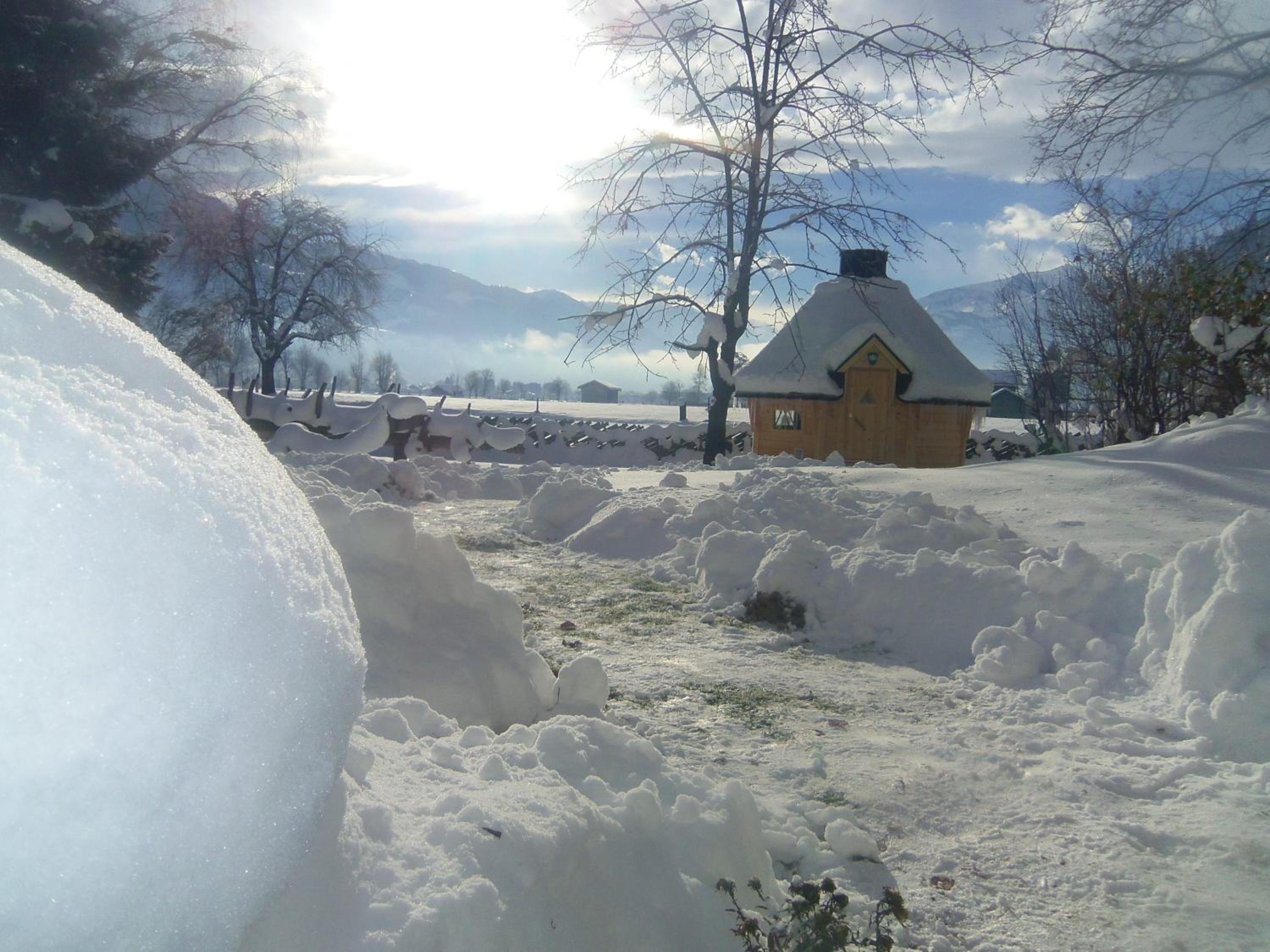 Photo 21