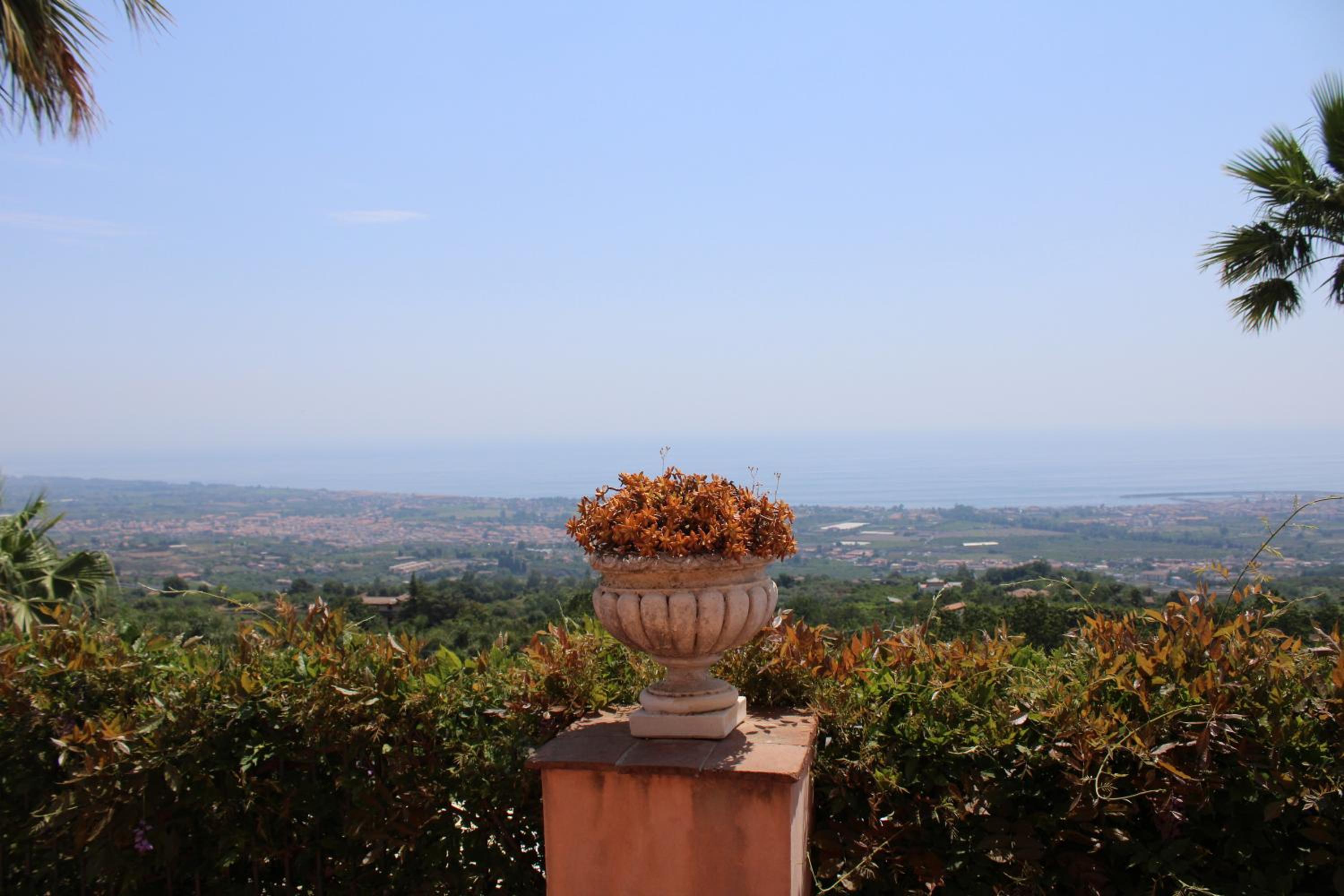 IL Ciliegio Dell 'Etna