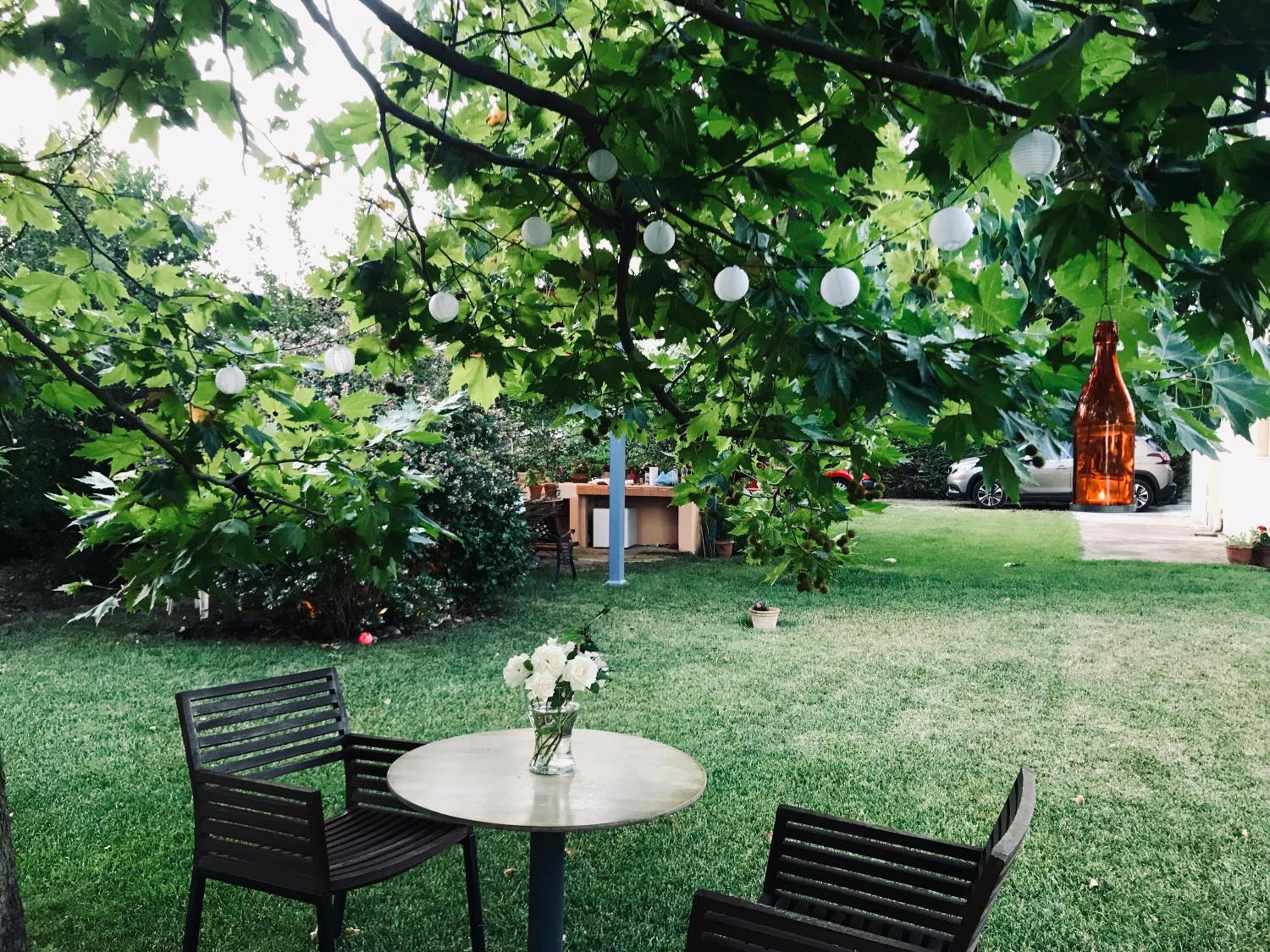 Plane Tree House