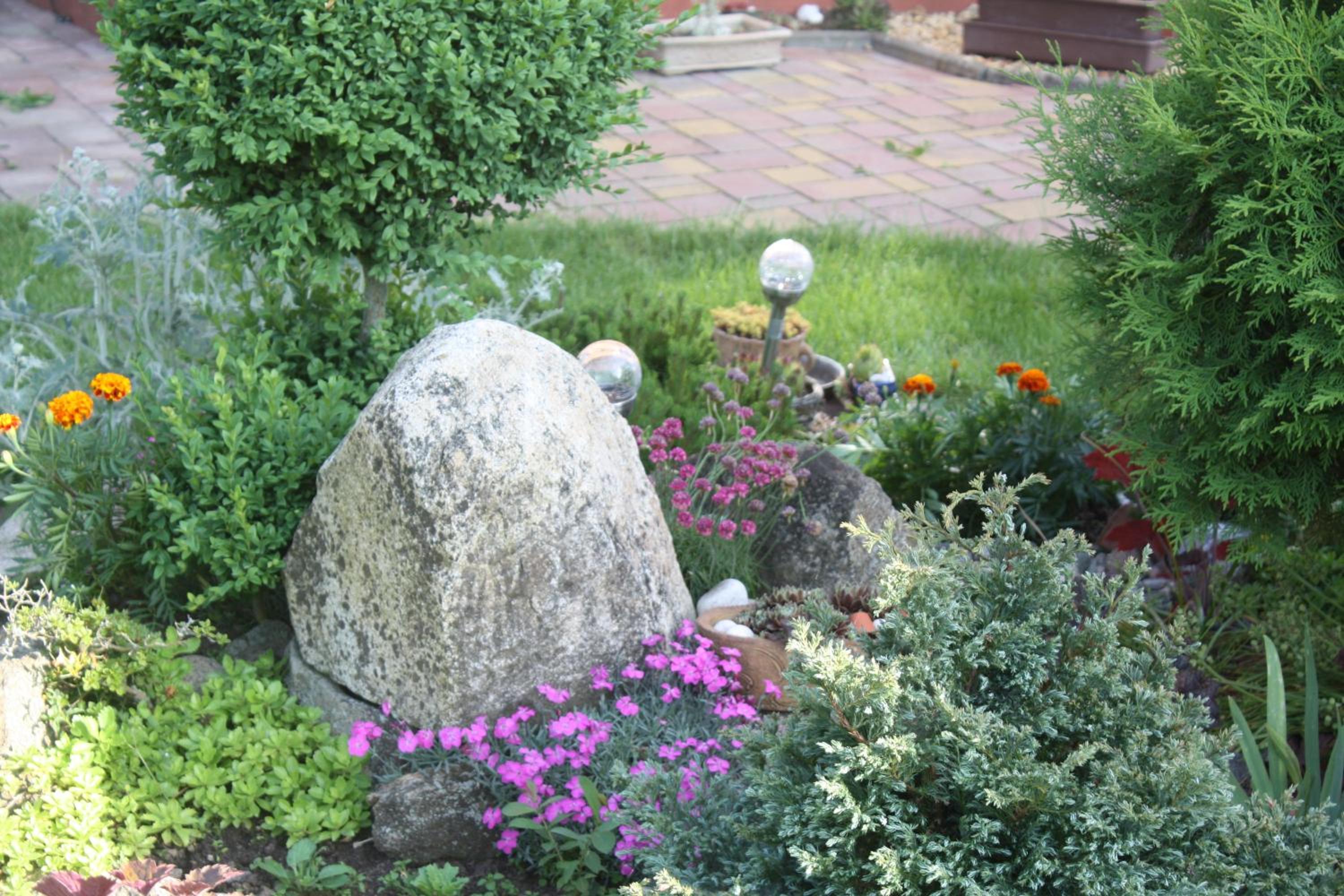 Photo 30