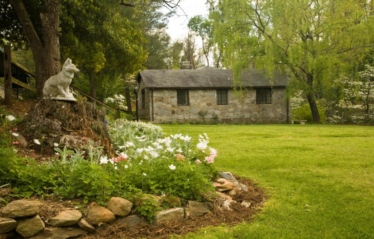 garden