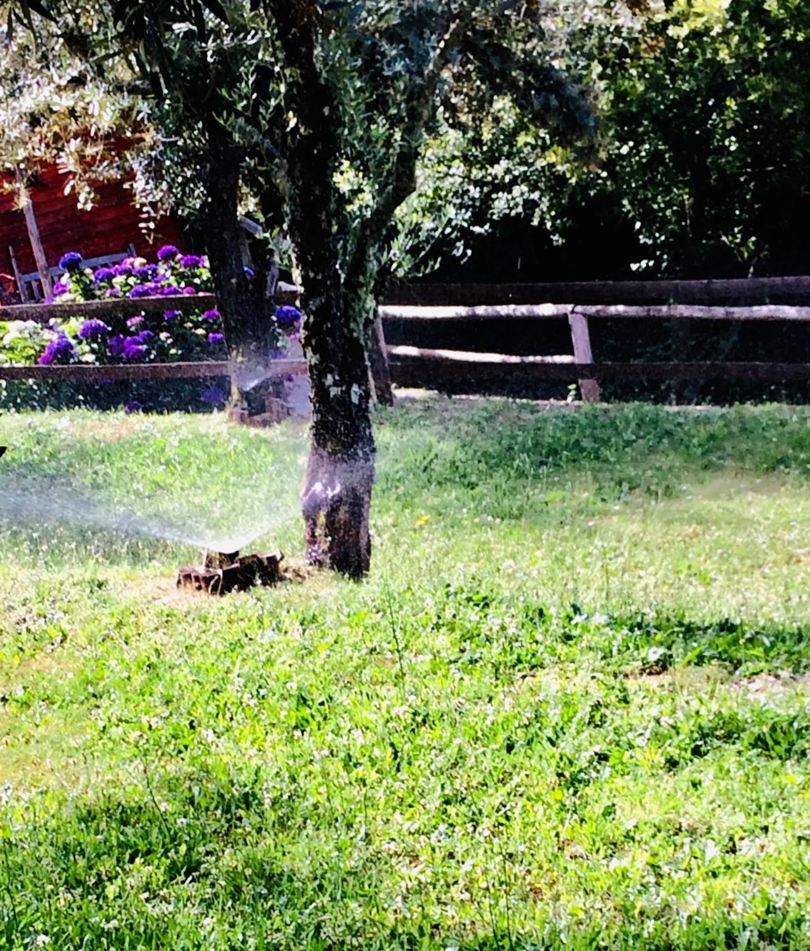 Photo 52