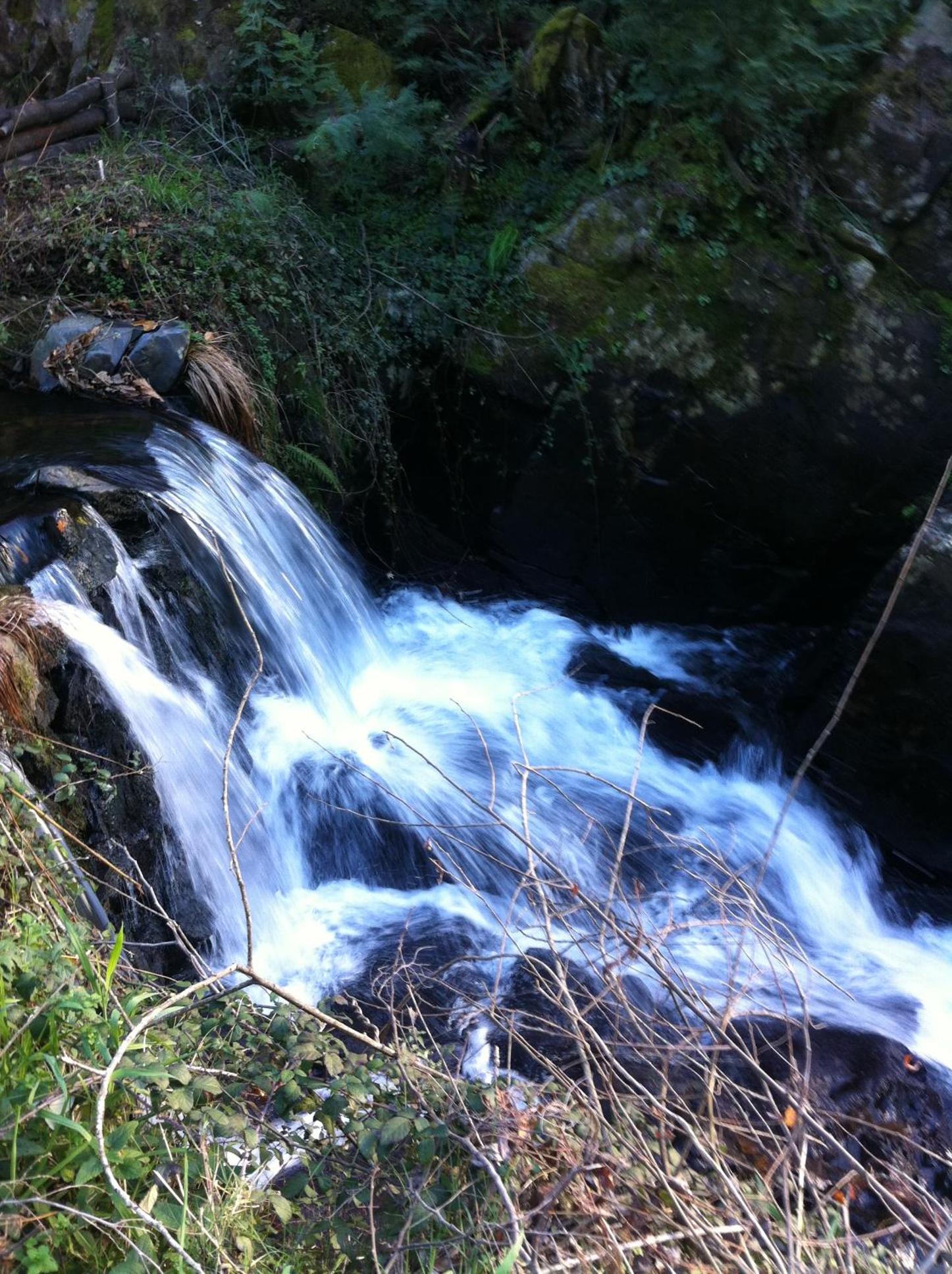 Photo 60