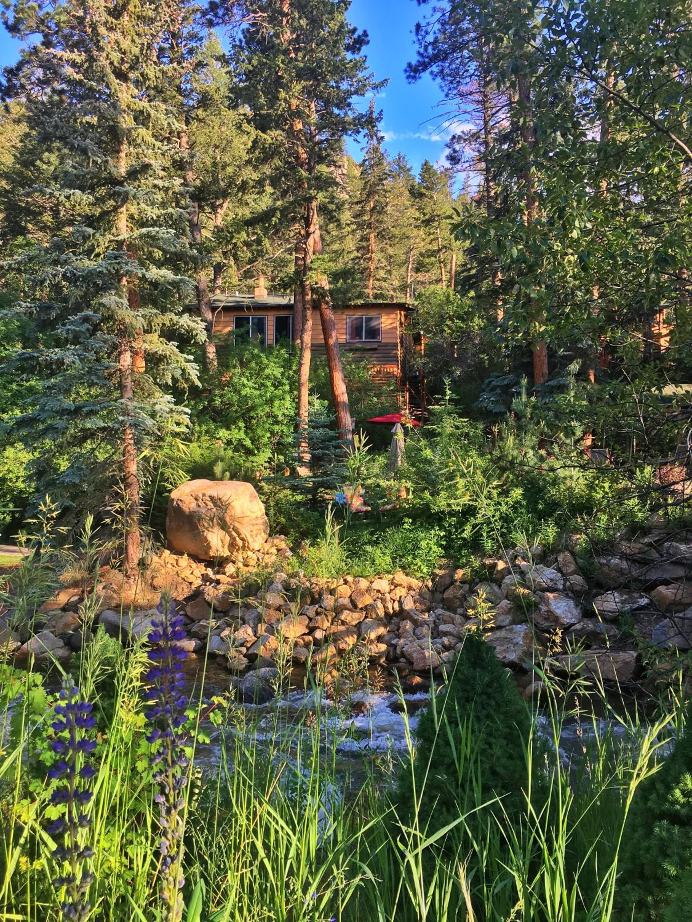 Pine Haven Resort