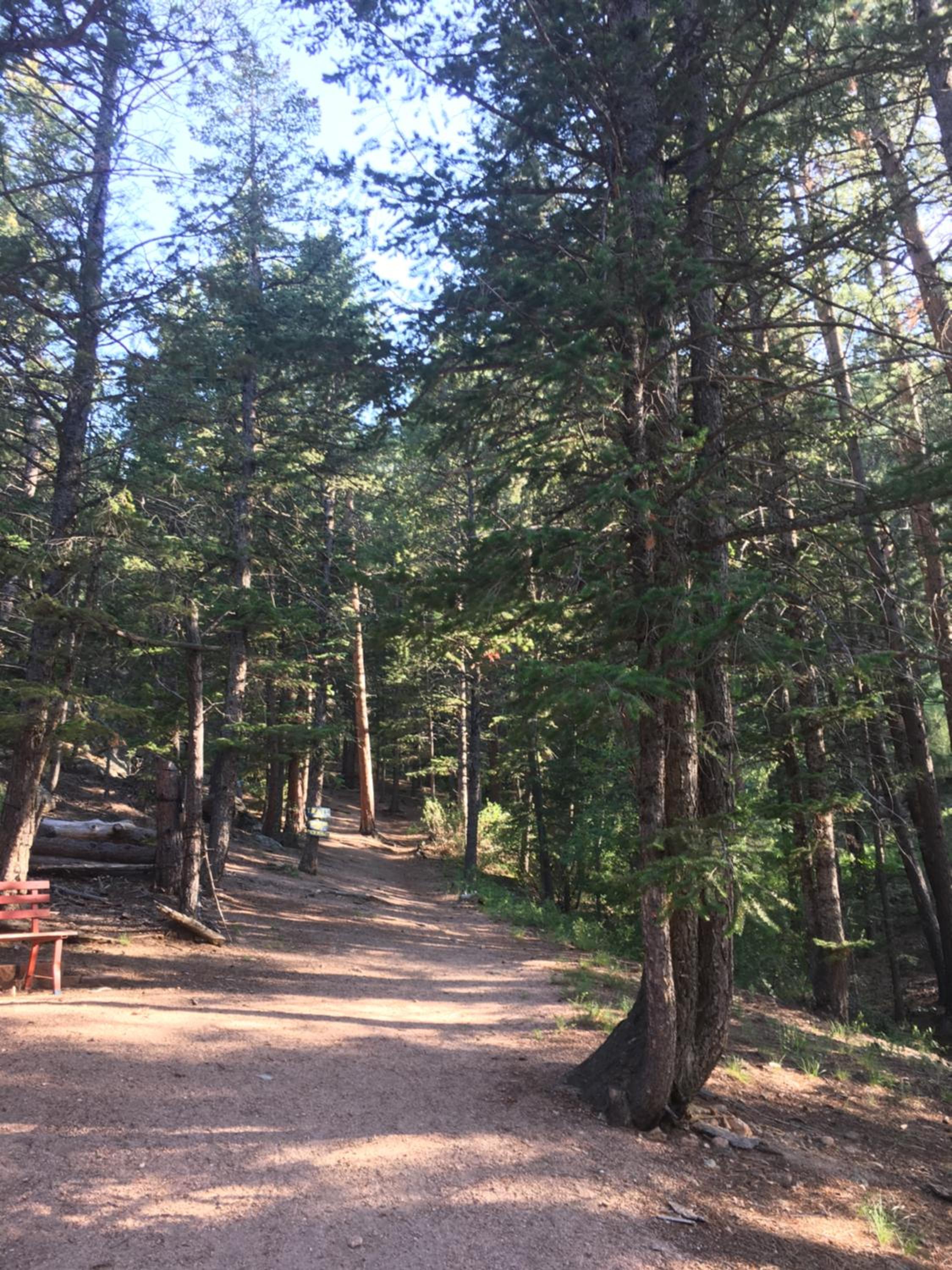 Pine Haven Resort
