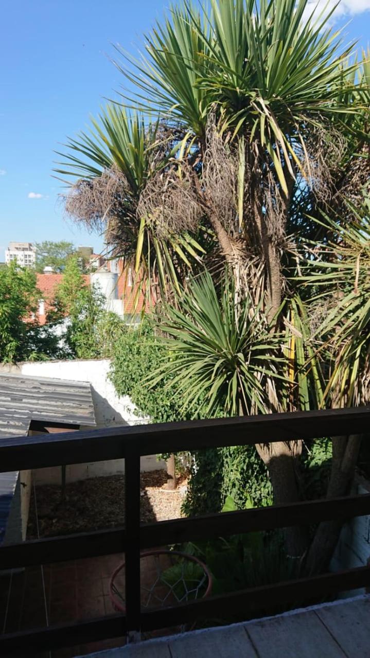 Casa alquiler mar del plata