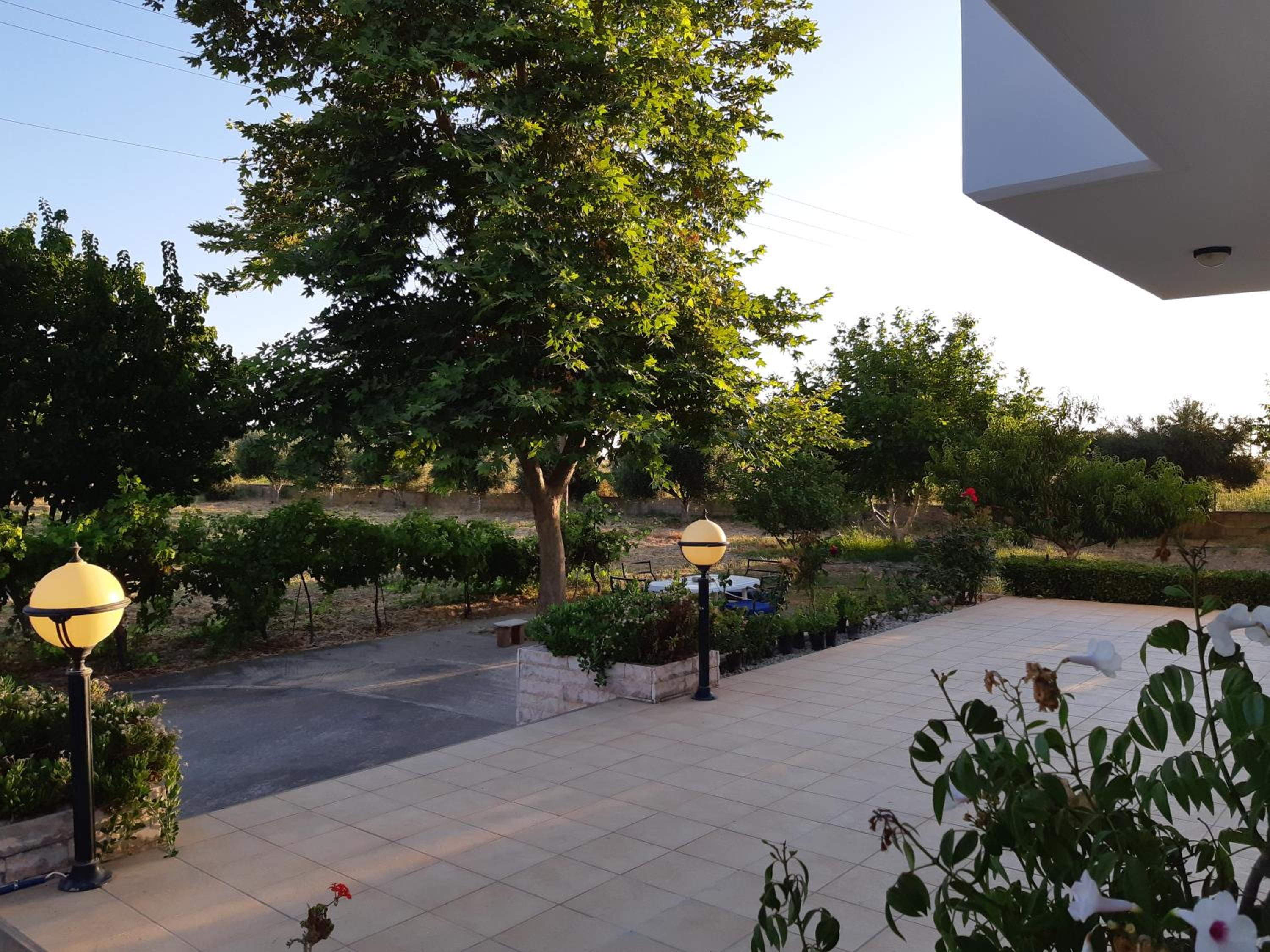Swan House Panoramic View - Near the sea view 5