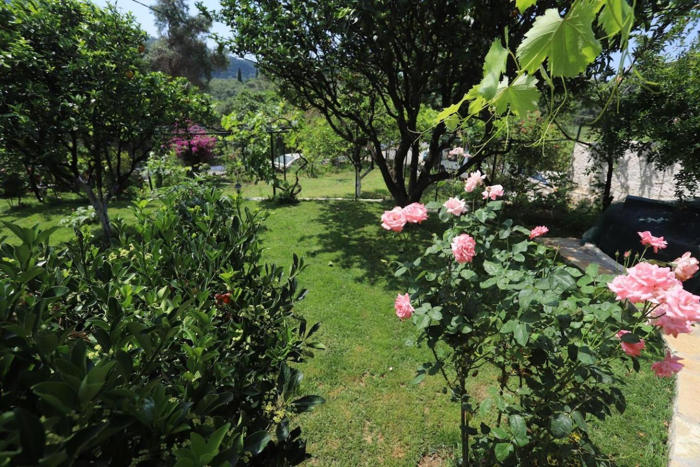 Garden House Kastellani-4BD&Garden near CorfuTown view 5