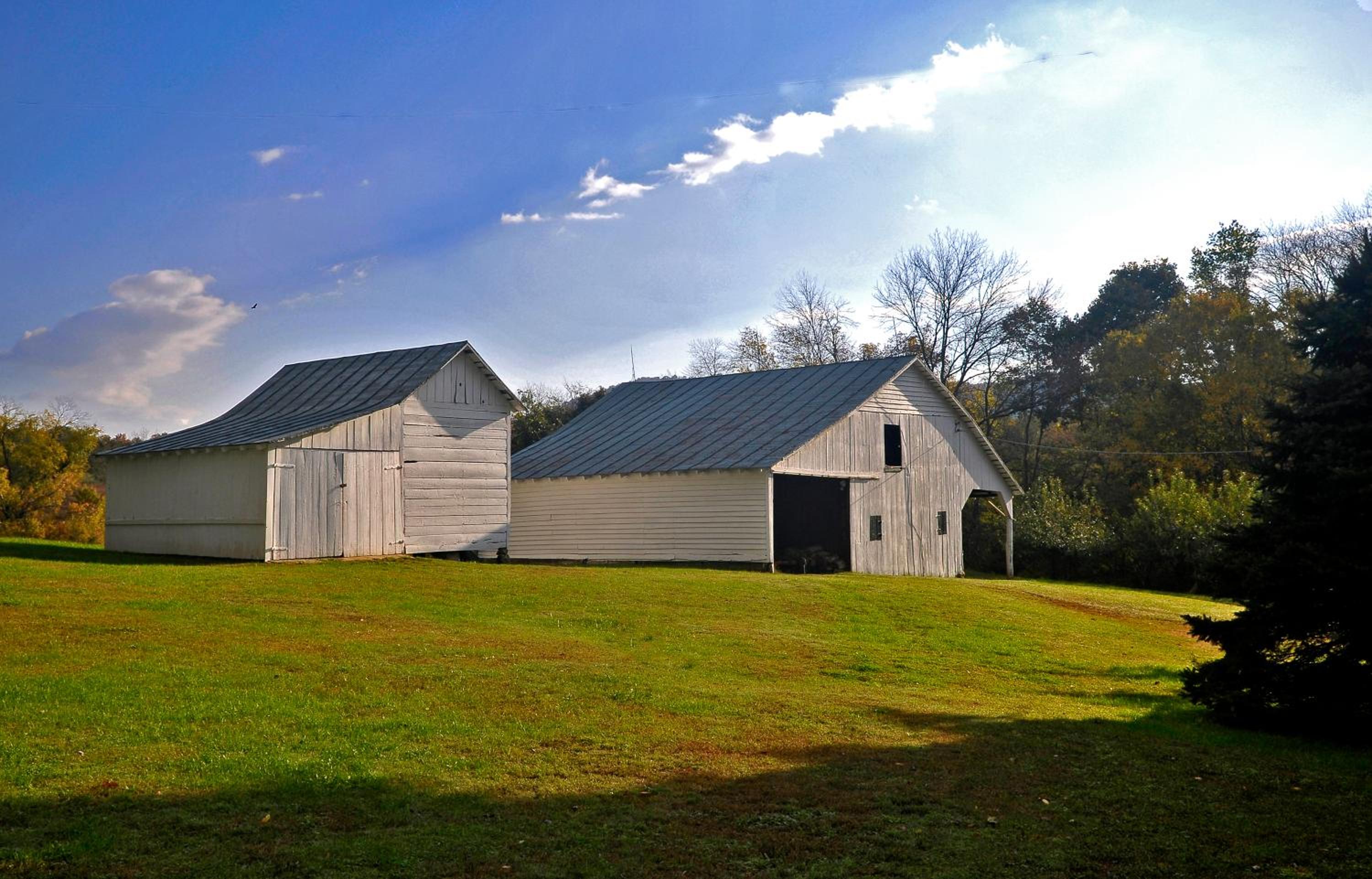 Walnut Run Farm view 5