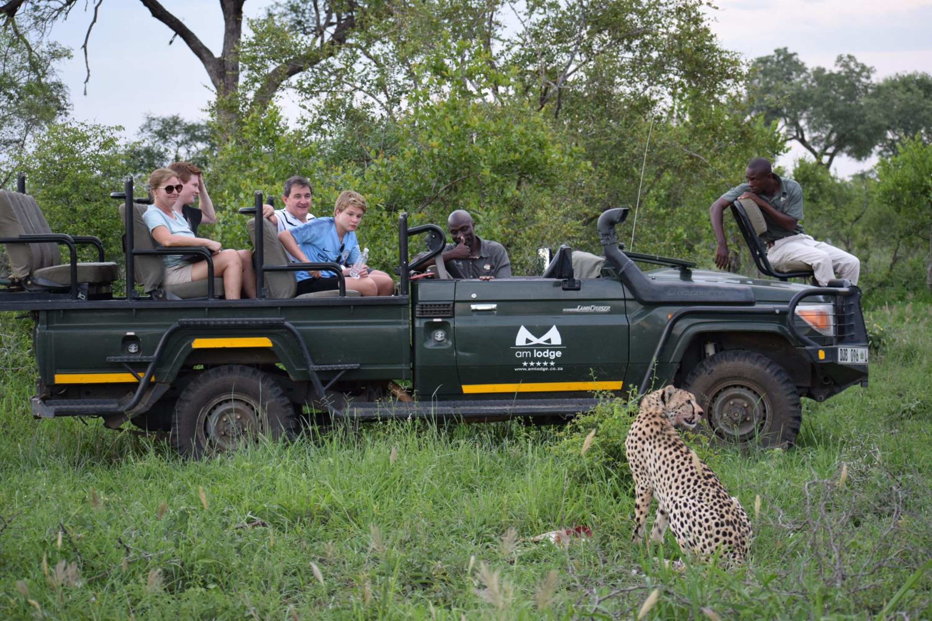AM Lodge - Hoedspruit