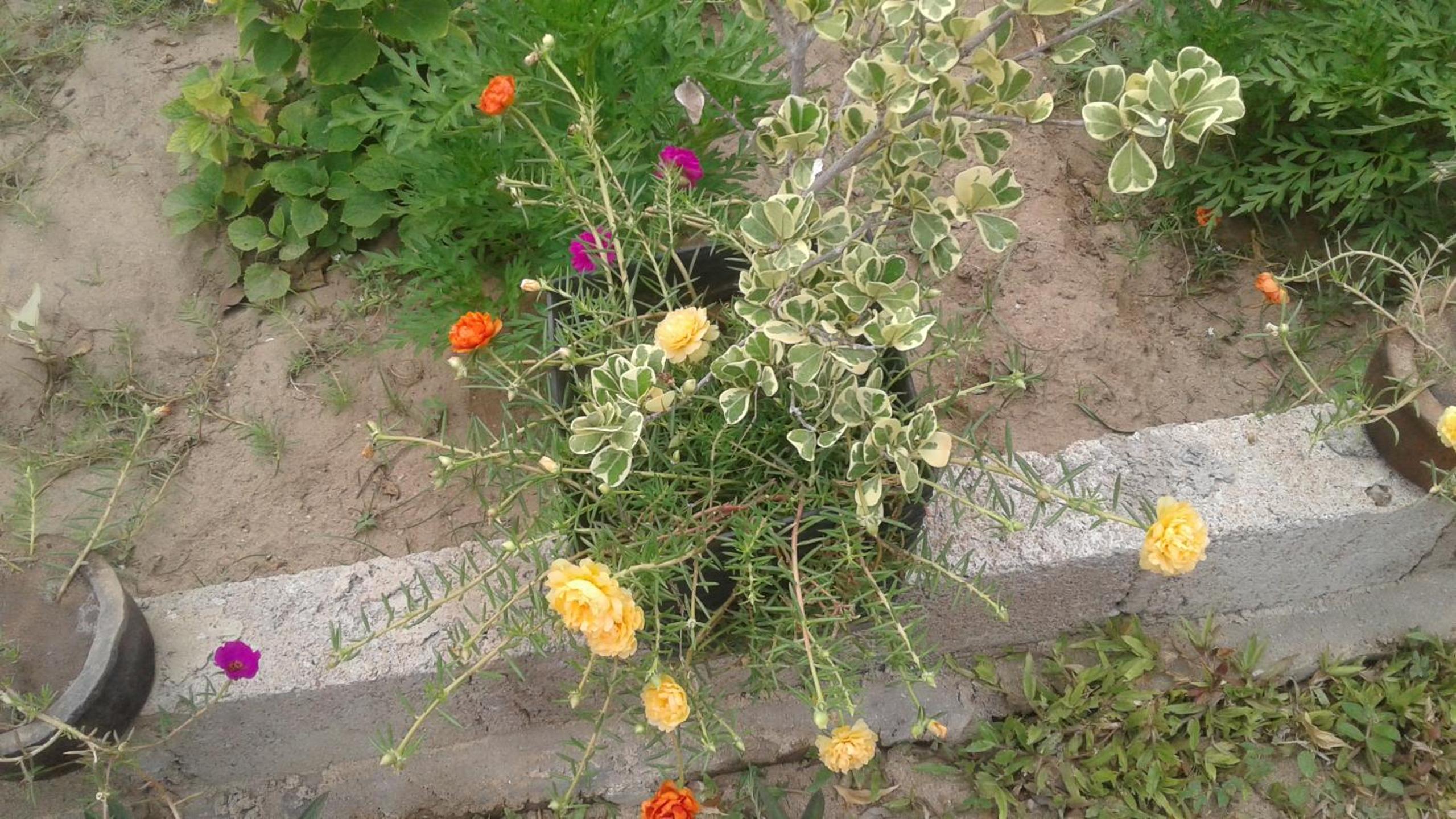 Photo 10