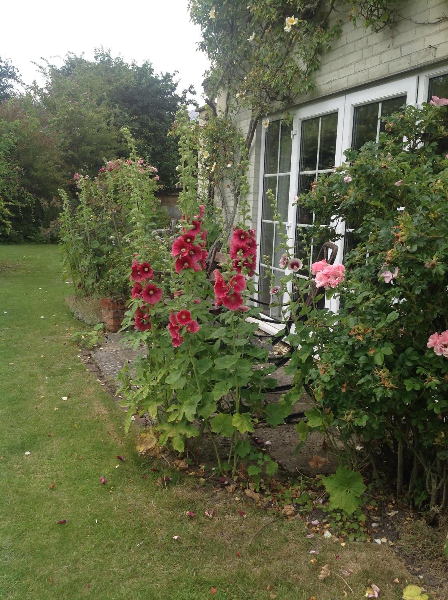 Photo 25
