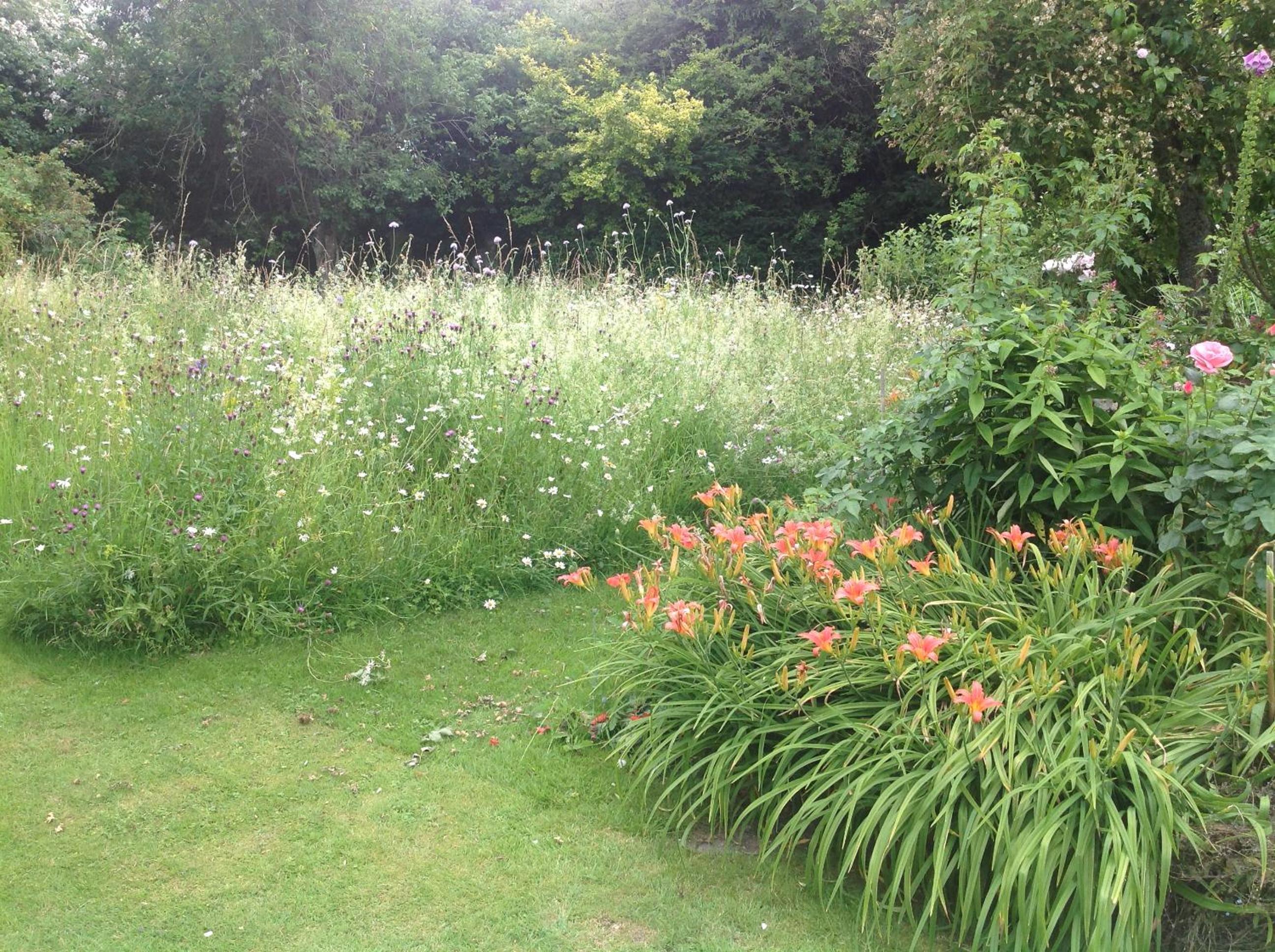 Photo 28